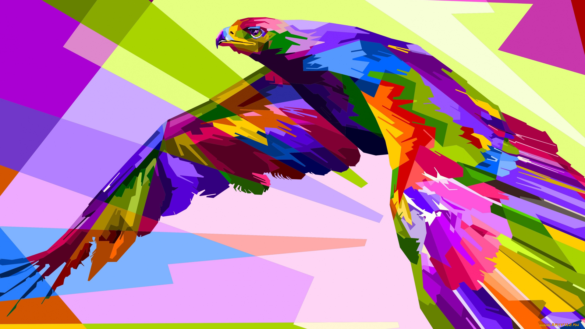 векторная, графика, птицы, , птицы, орел, фон