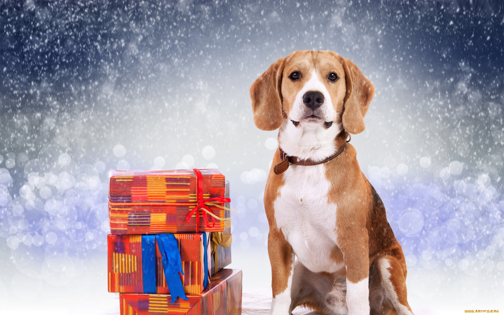 праздничные, -, разное, , новый, год, новы, год