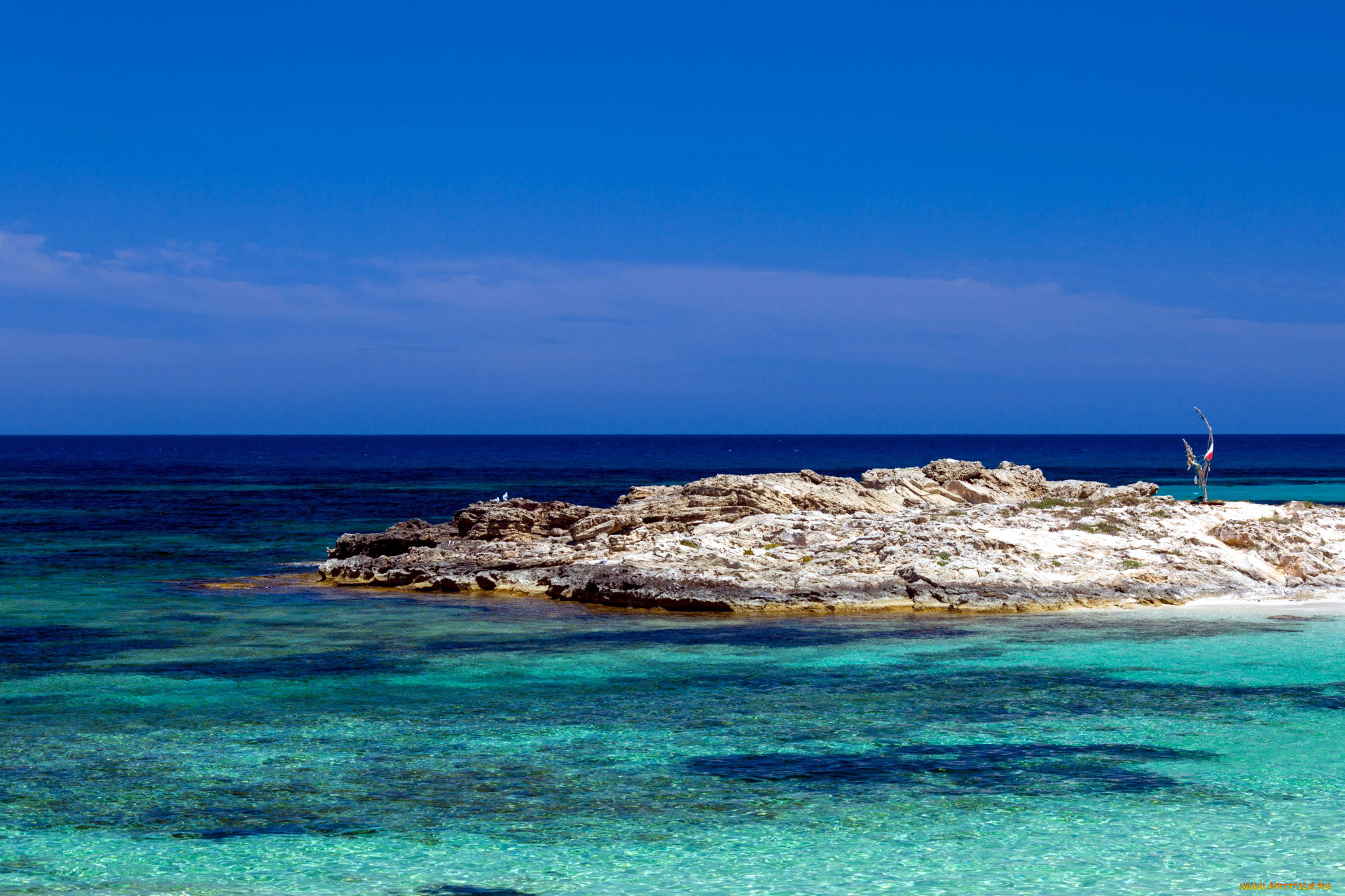 природа, побережье, скалы, море