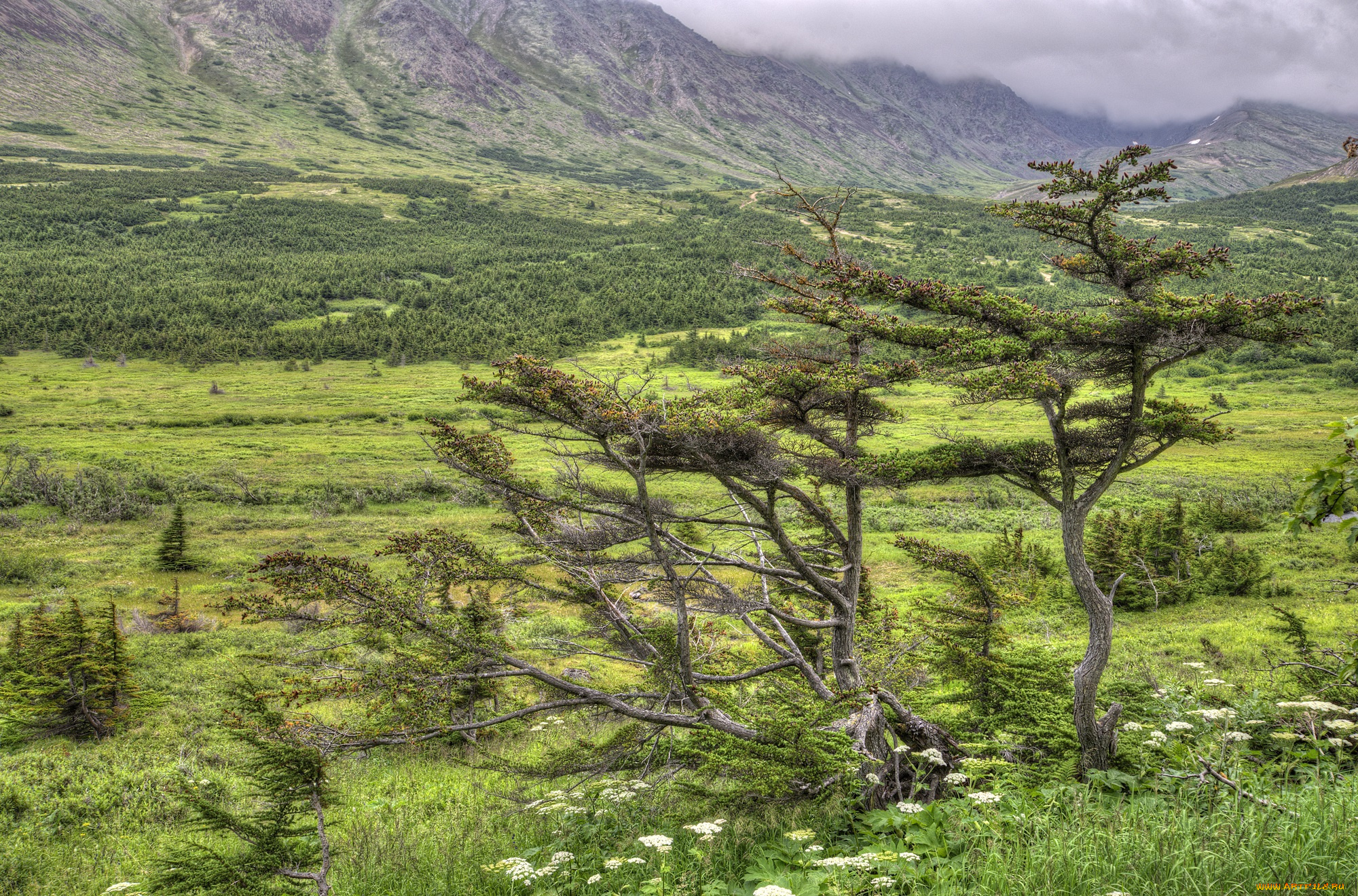 природа, пейзажи, простор