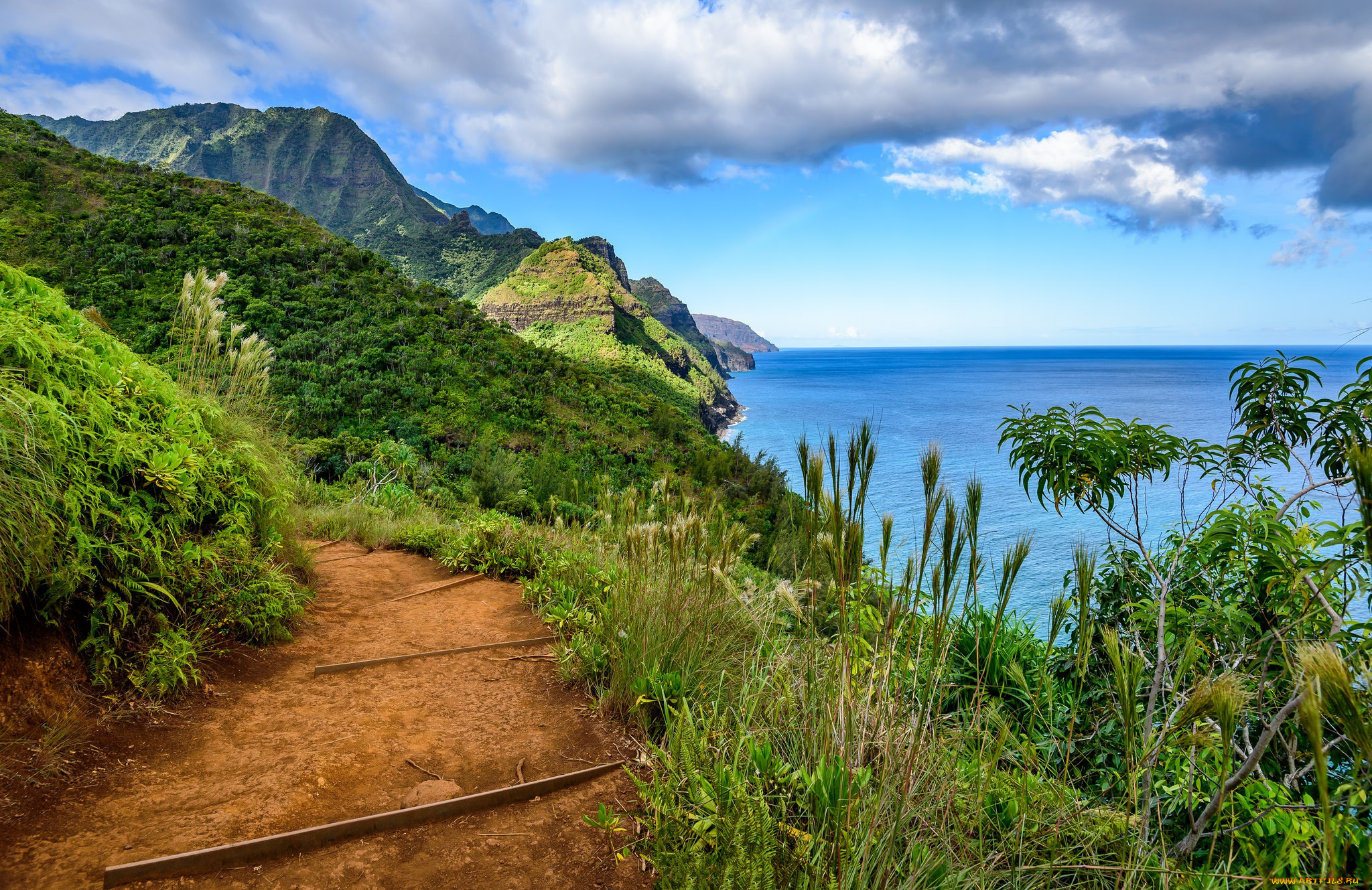 природа, побережье, простор