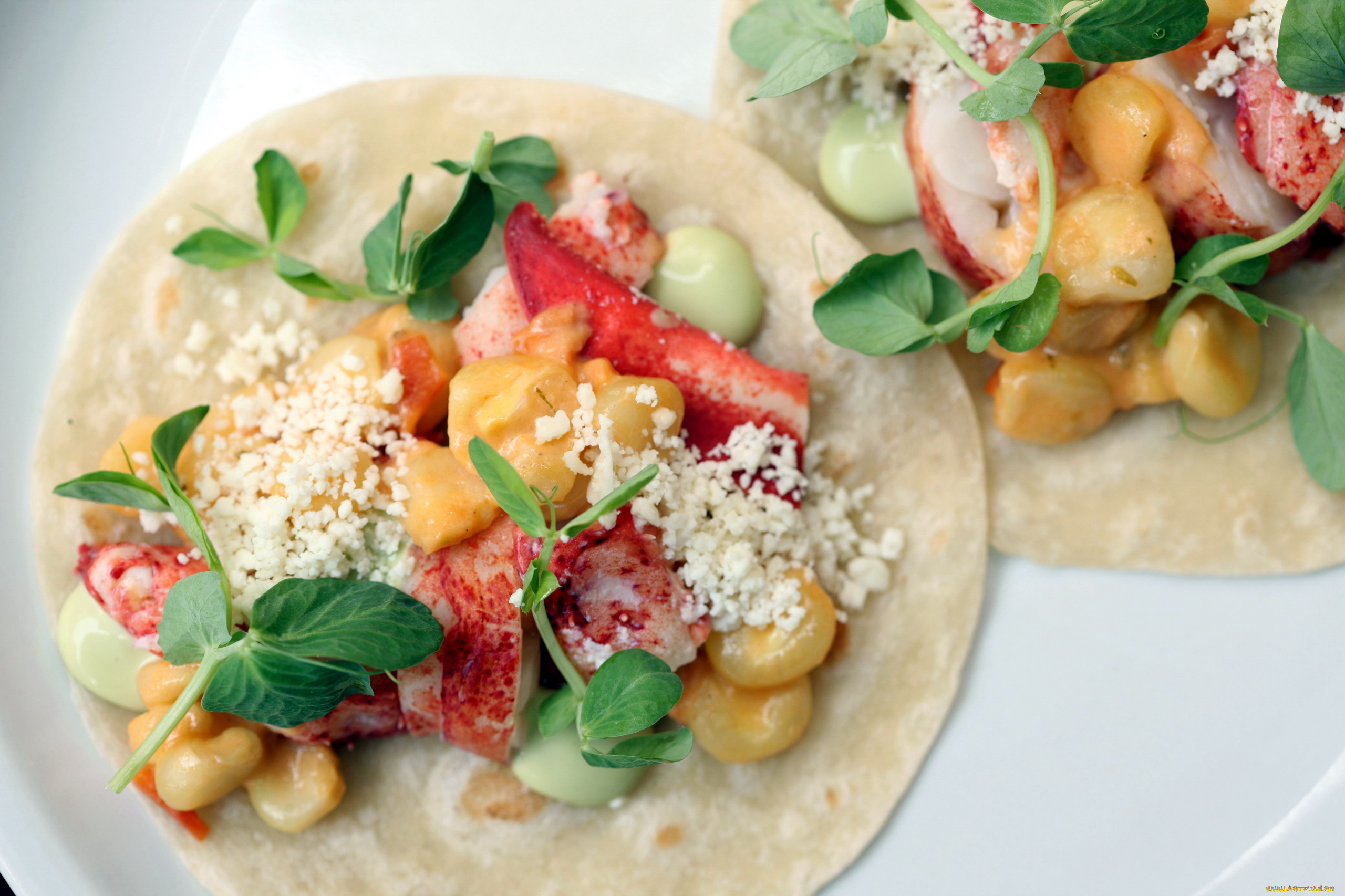 еда, рыбные, блюда, , с, морепродуктами, лобстер