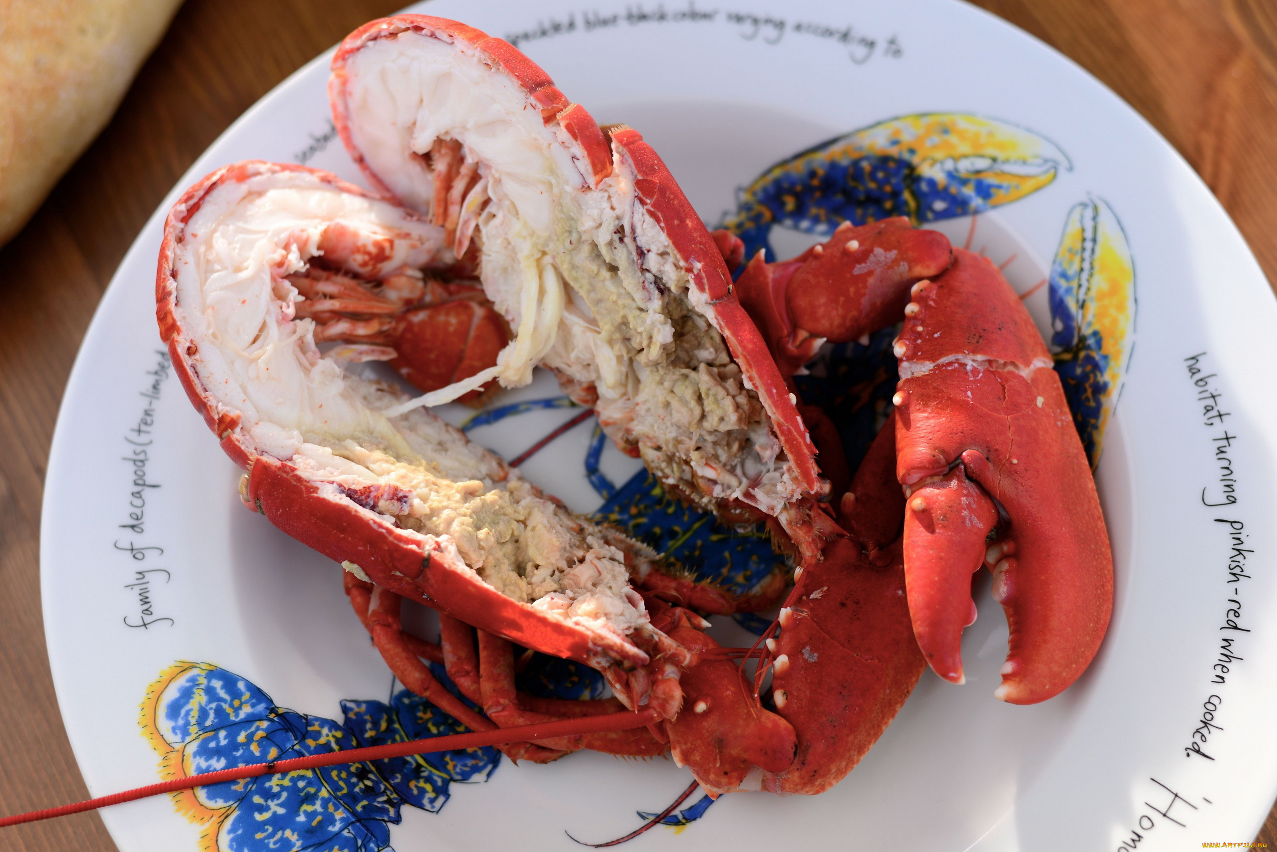 еда, рыбные, блюда, , с, морепродуктами, лобстер