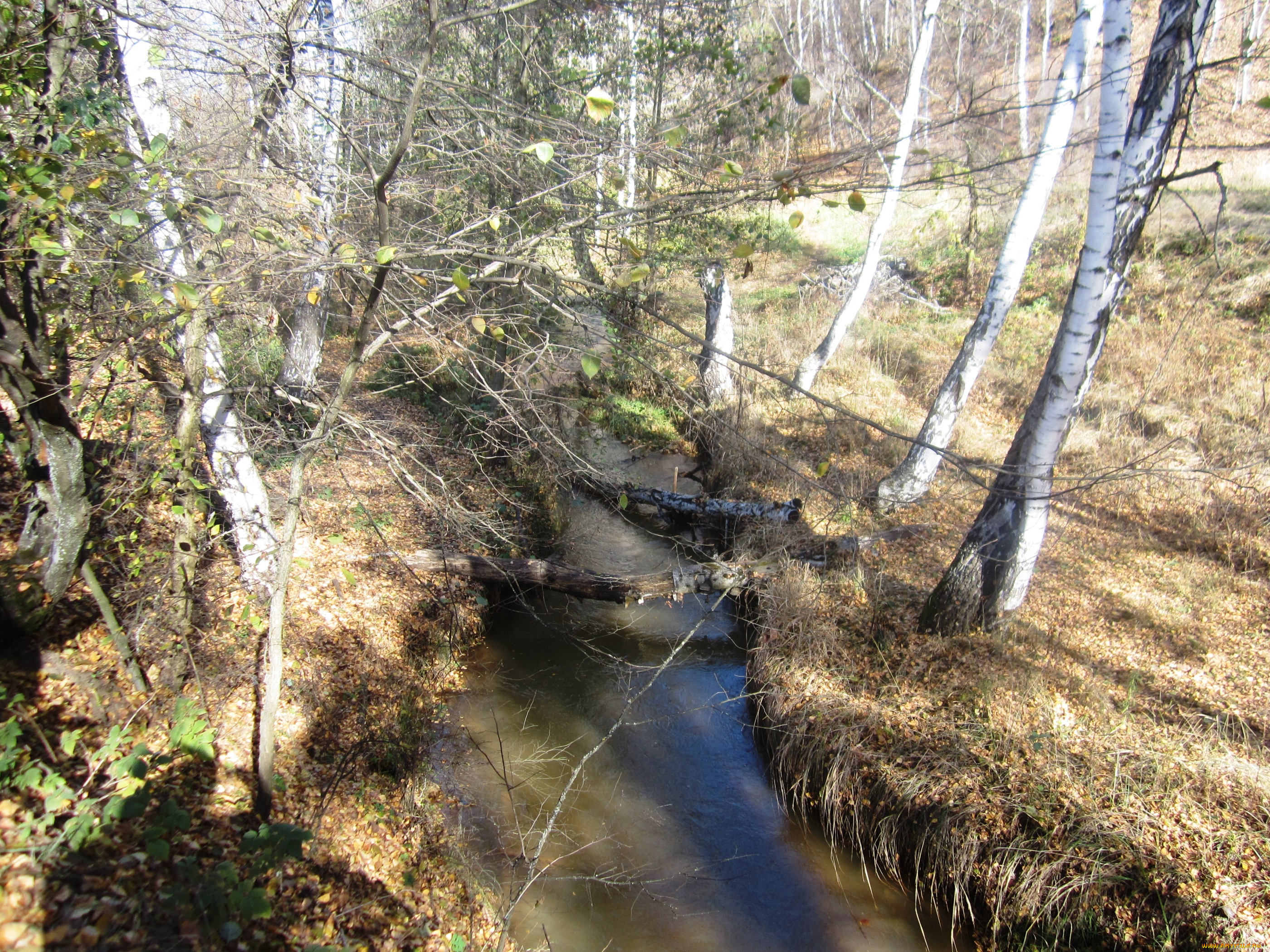 природа, реки, озера