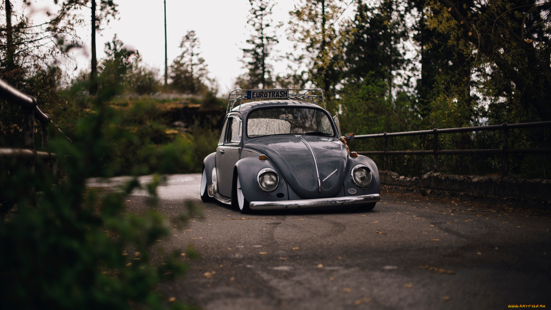 автомобили, volkswagen, beetle