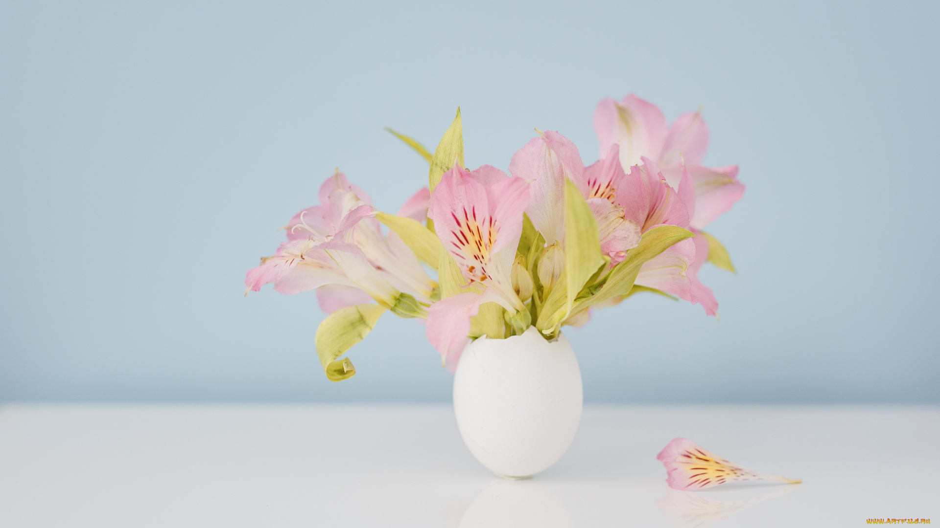 цветы, альстромерия, стол, букет, белая, ваза