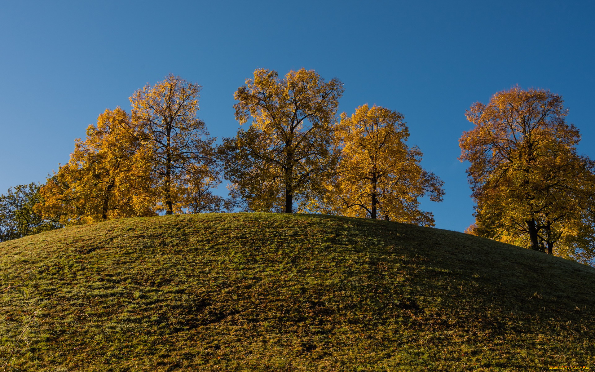 природа, деревья, холм, осень