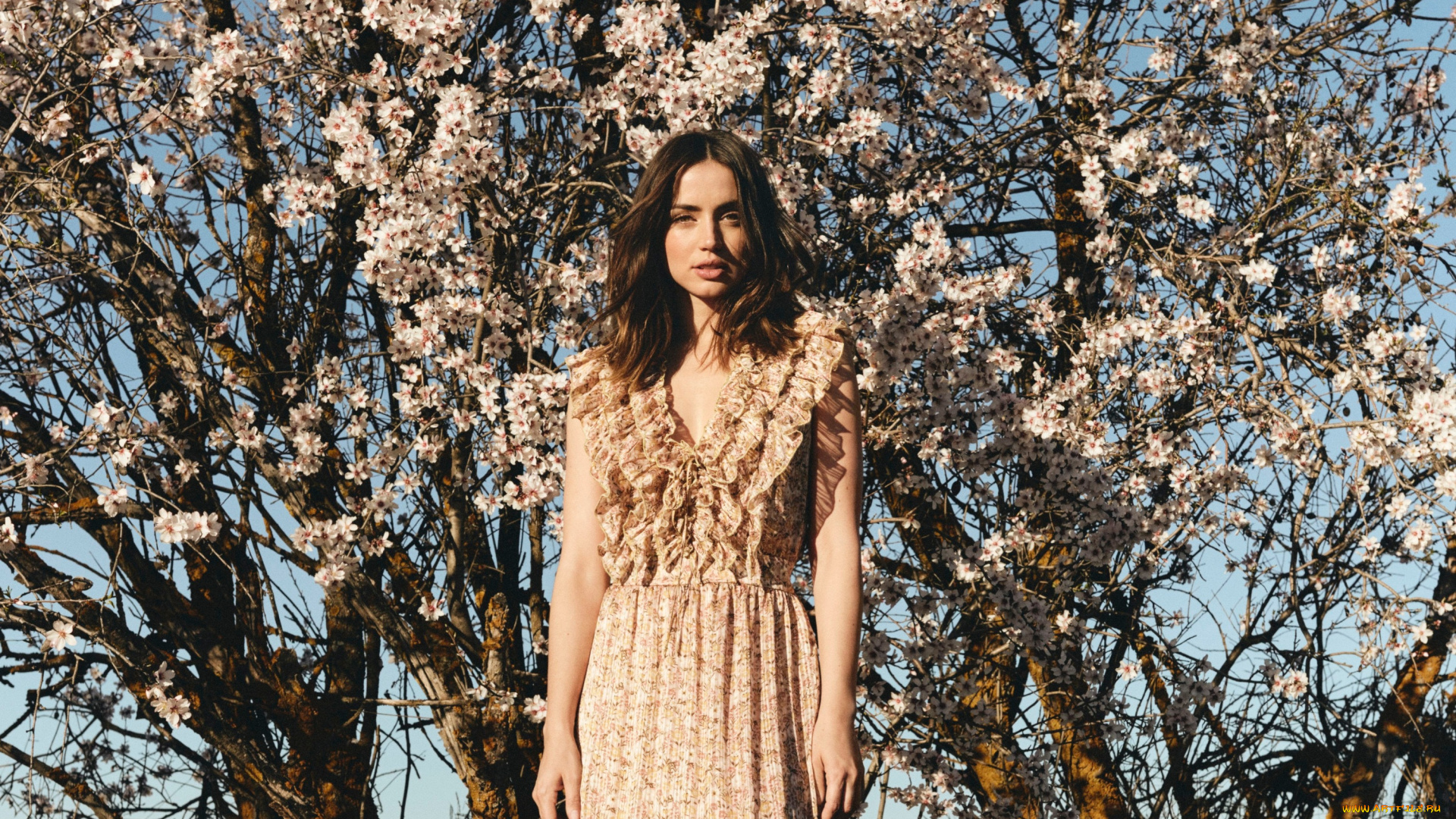 девушки, ana, de, armas, ana, de, armas