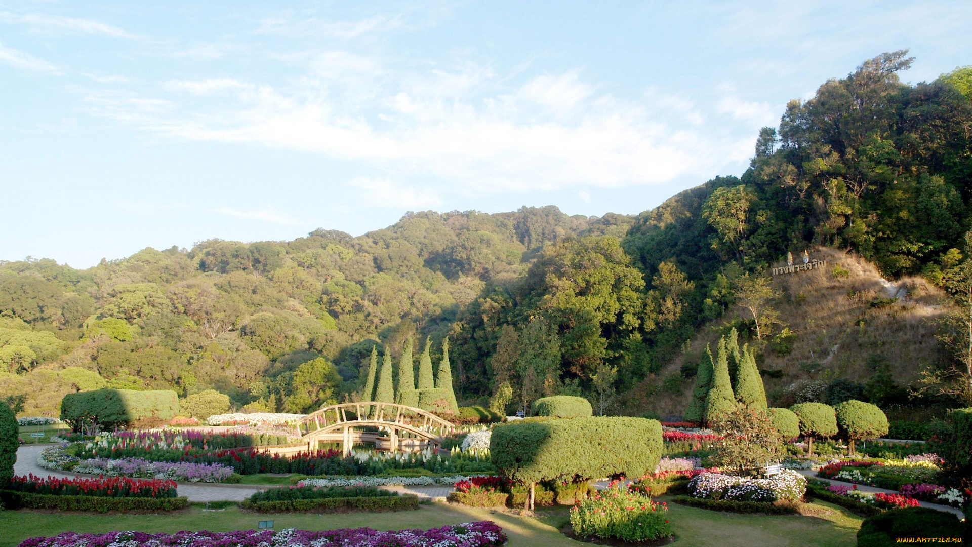 thailand, природа, парк