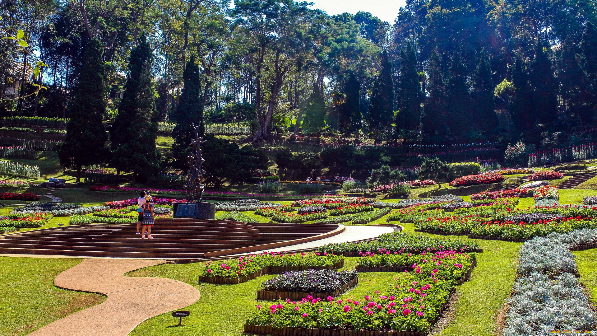 thailand, природа, парк