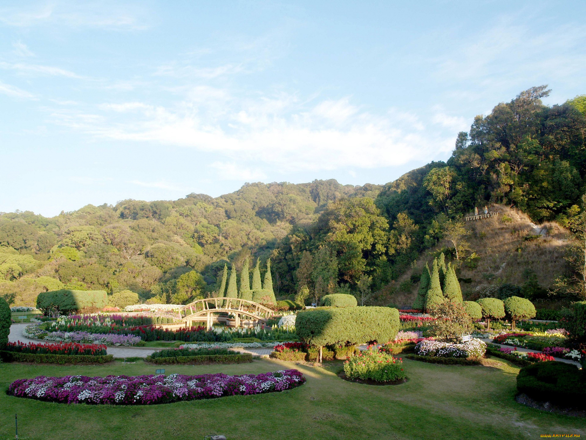 thailand, природа, парк