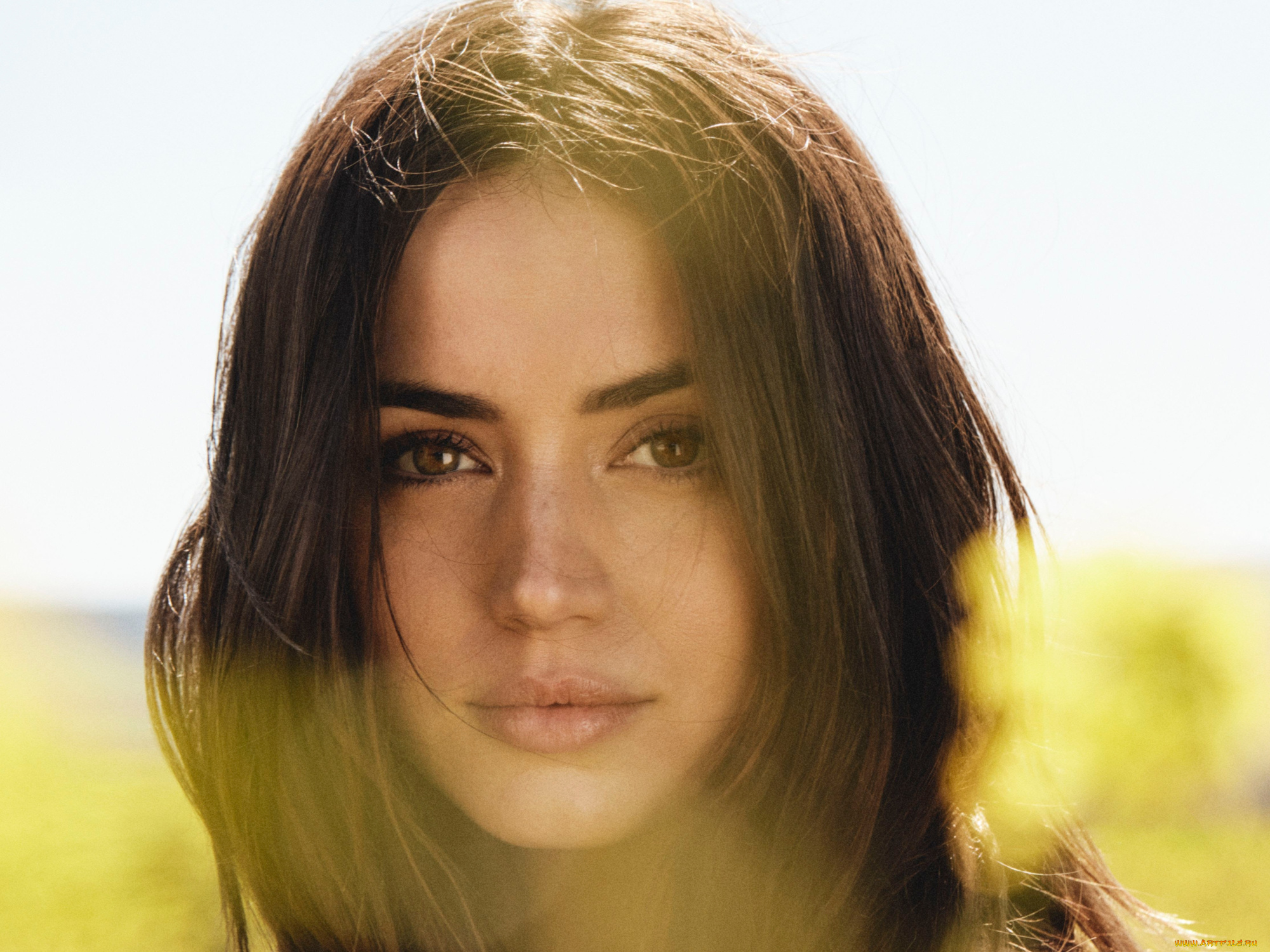 девушки, ana, de, armas, ana, de, armas