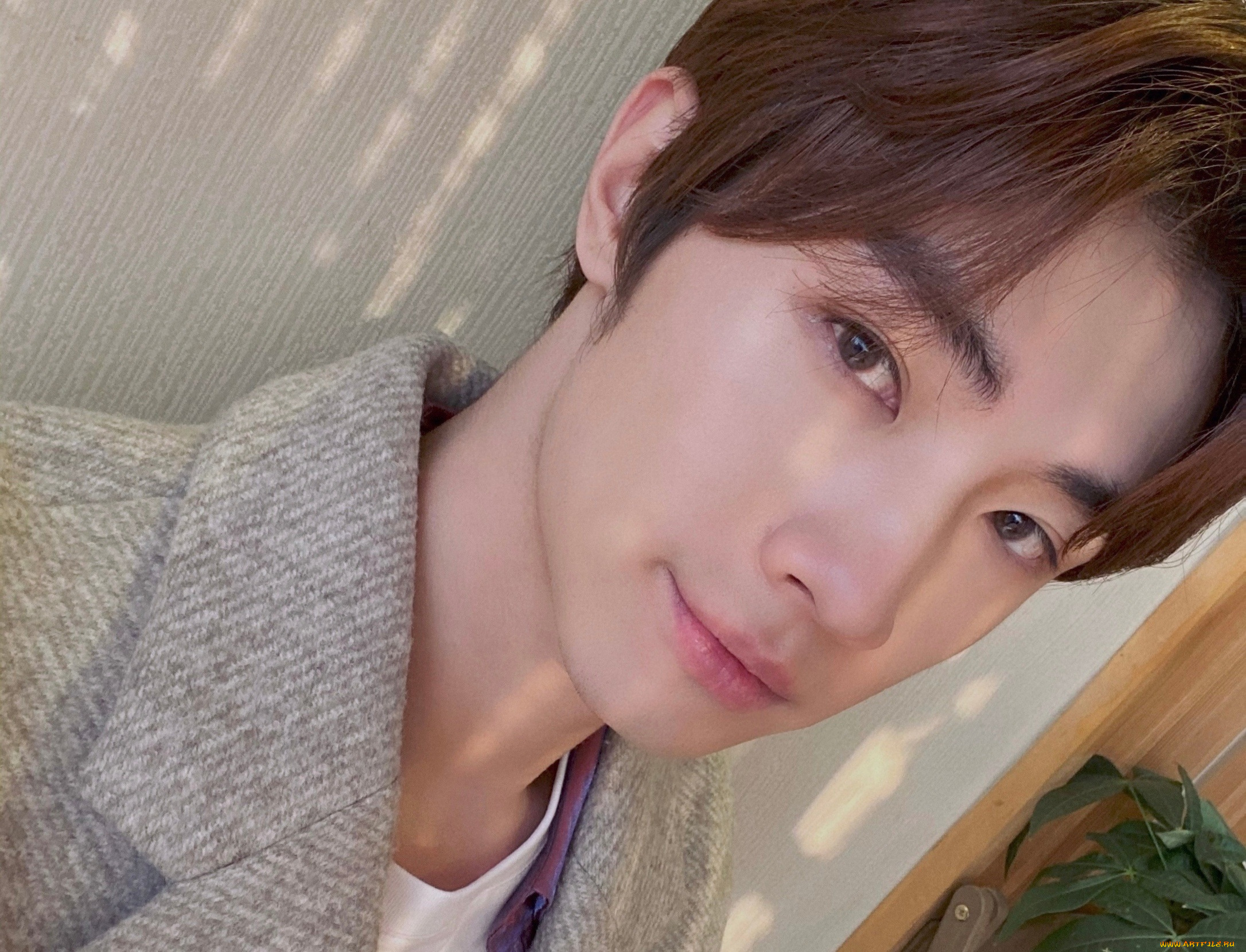 мужчины, song, ji, yang, сун, цзиян, китайский, актёр, певец