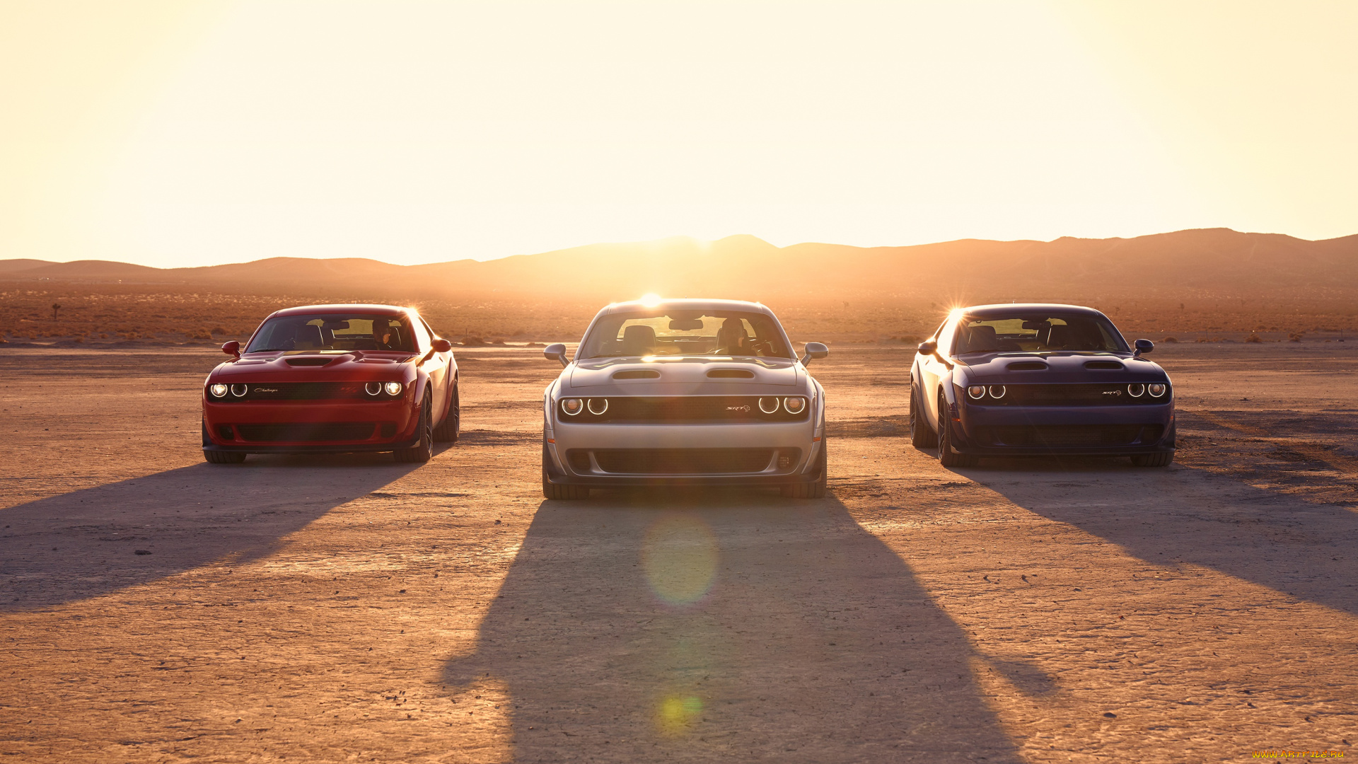 автомобили, dodge, challenger, sunset, srt, hellcat