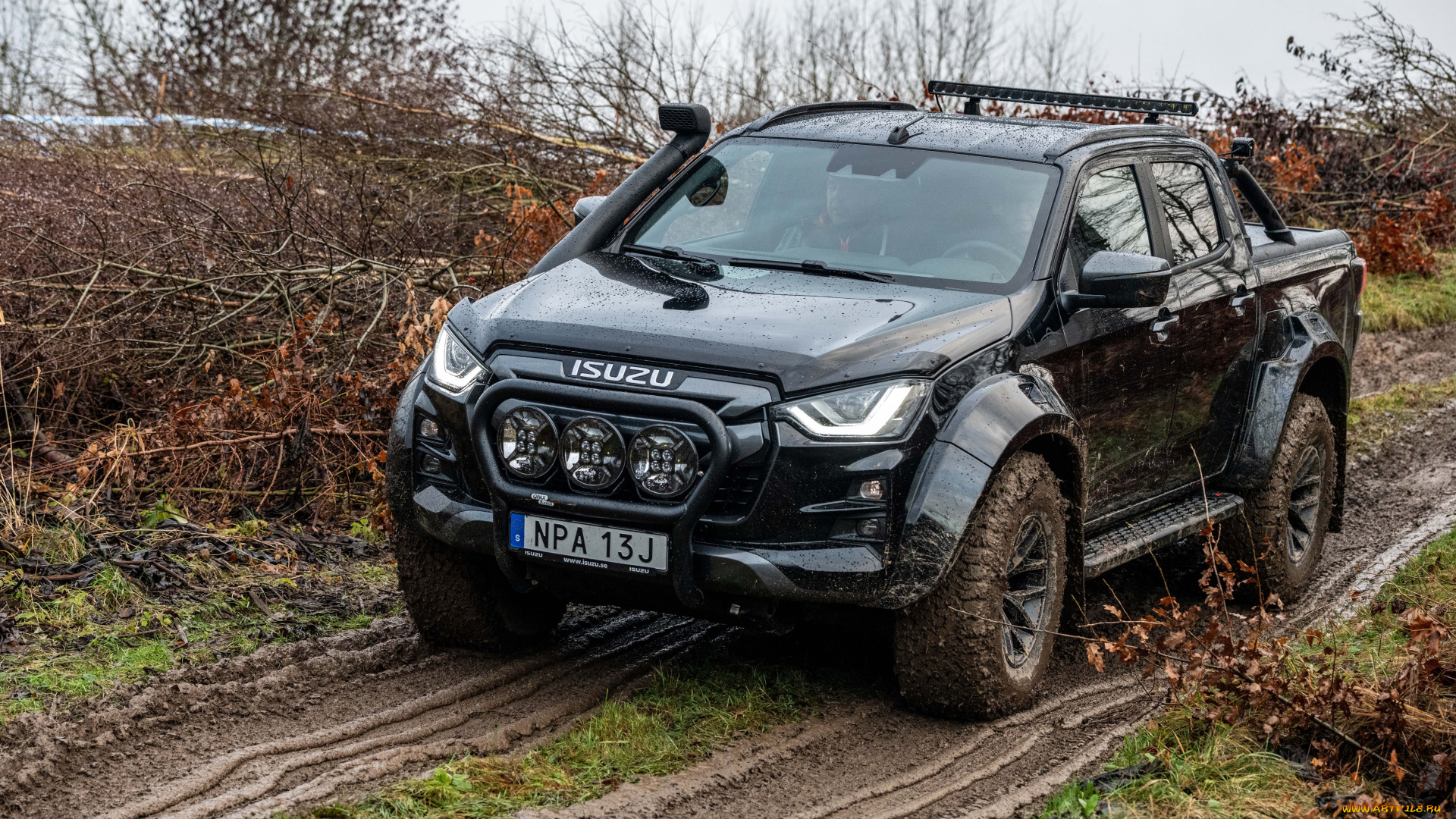 автомобили, isuzu