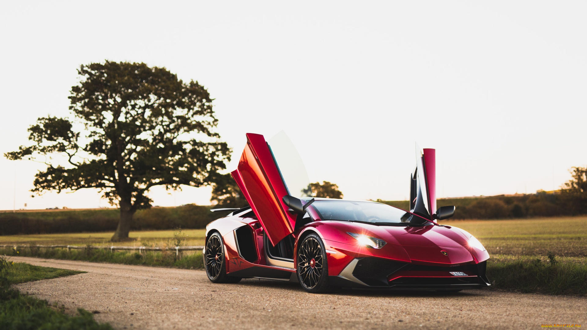 автомобили, lamborghini, aventador, lp750-4, sv, dark, red