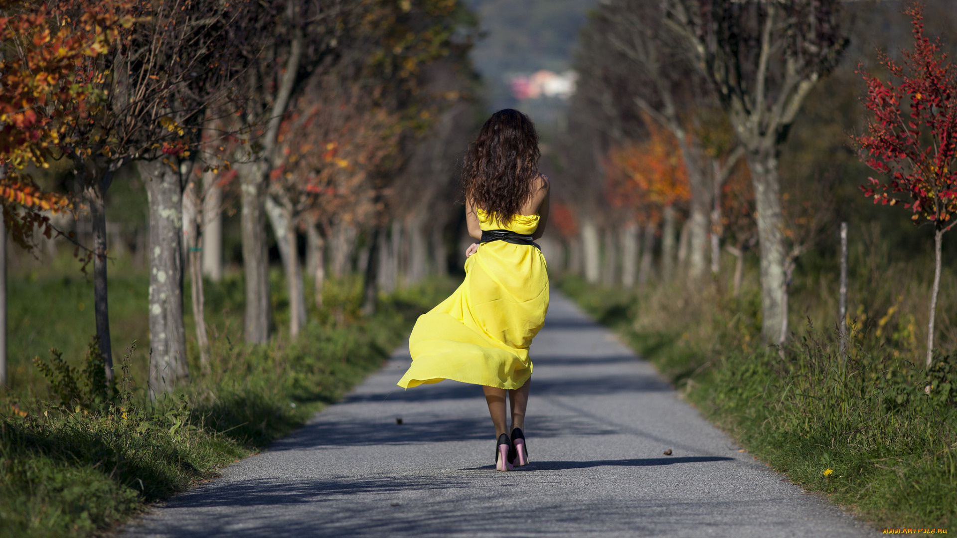 девушка, -, girl, девушки, -, брюнетки, , шатенки, девушка, брюнетка, сексуальная, милая, модель, красивая, супер, сладкая, лапочка, симпатичная, классная, нежная, идеальная, няша, яркая, игривая, великолепная, обаятельная, жгучая, спокойная, удивительная