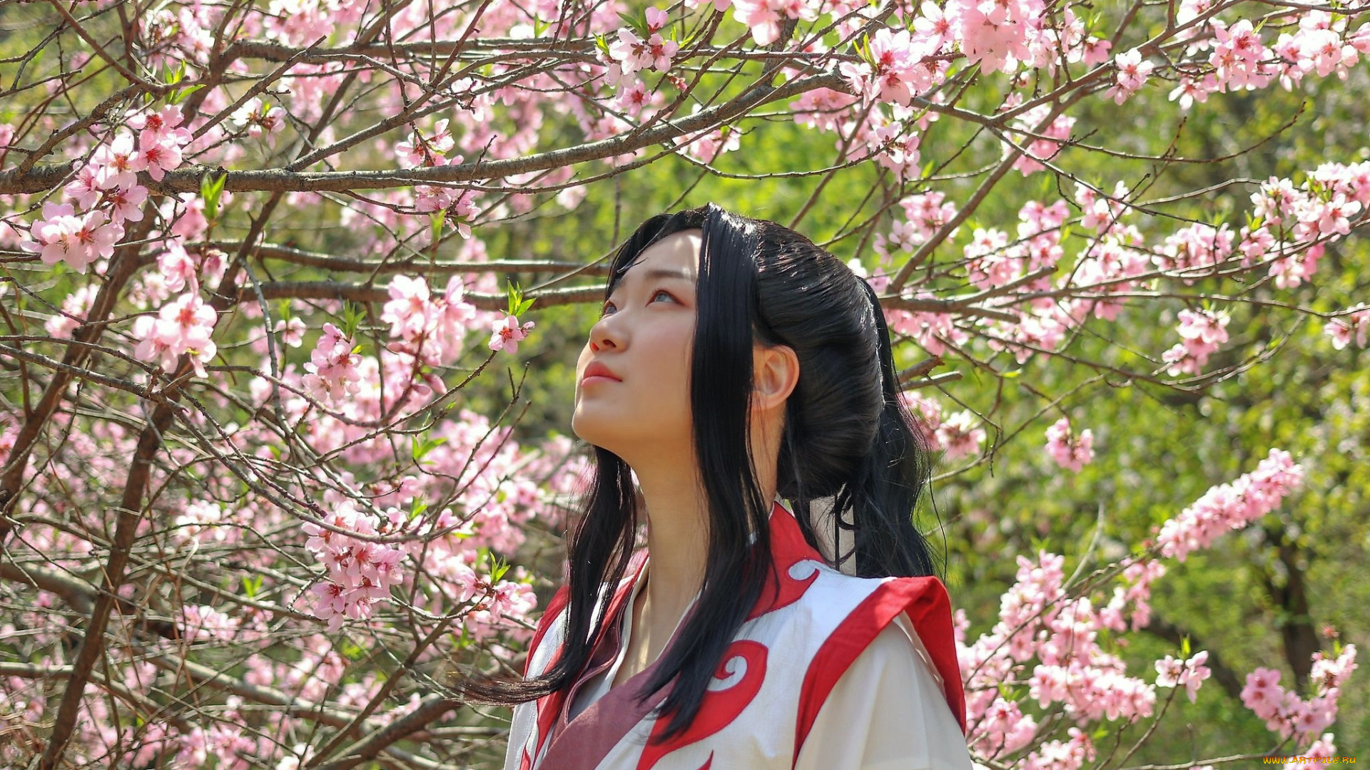 девушки, -, креатив, , косплей, костюм, дерево, цветение