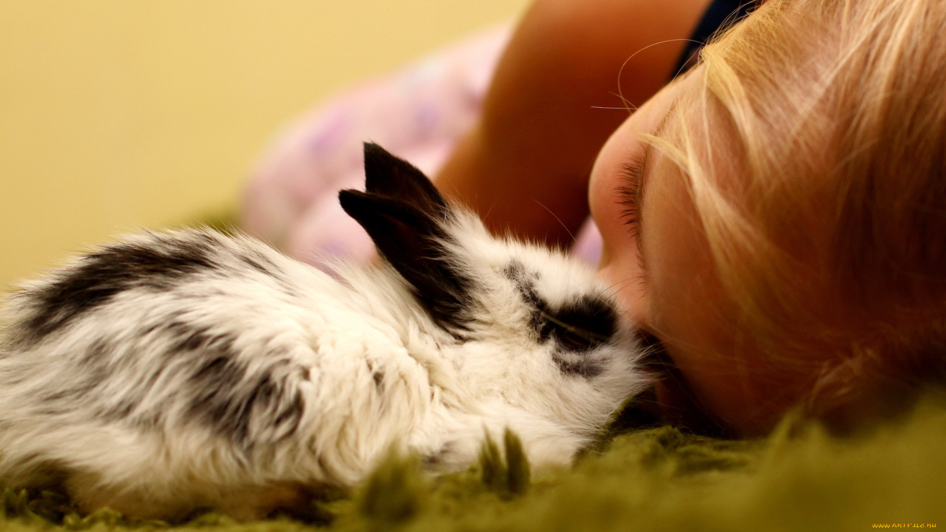 разное, люди, девочка, кролик