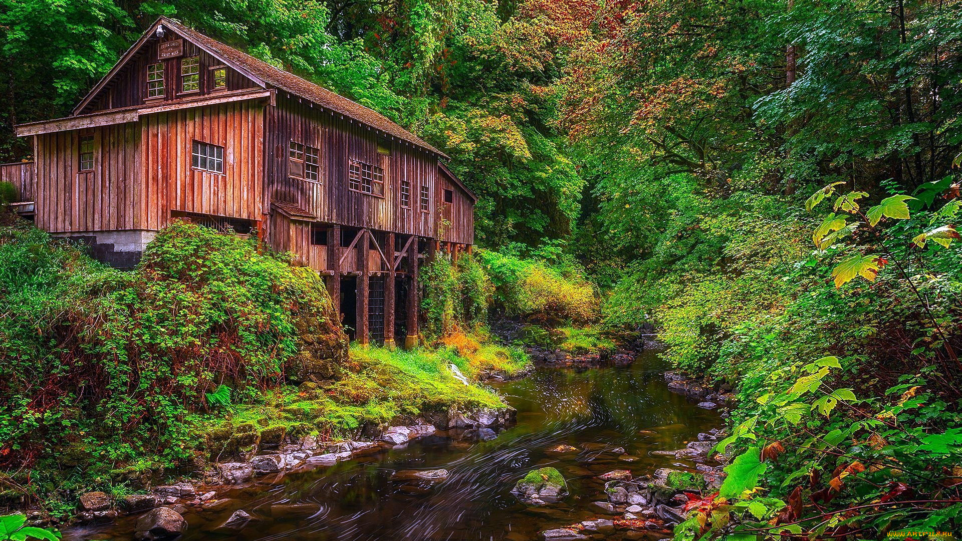 cedar, creek, grist, mill, washington, разное, мельницы, cedar, creek, grist, mill
