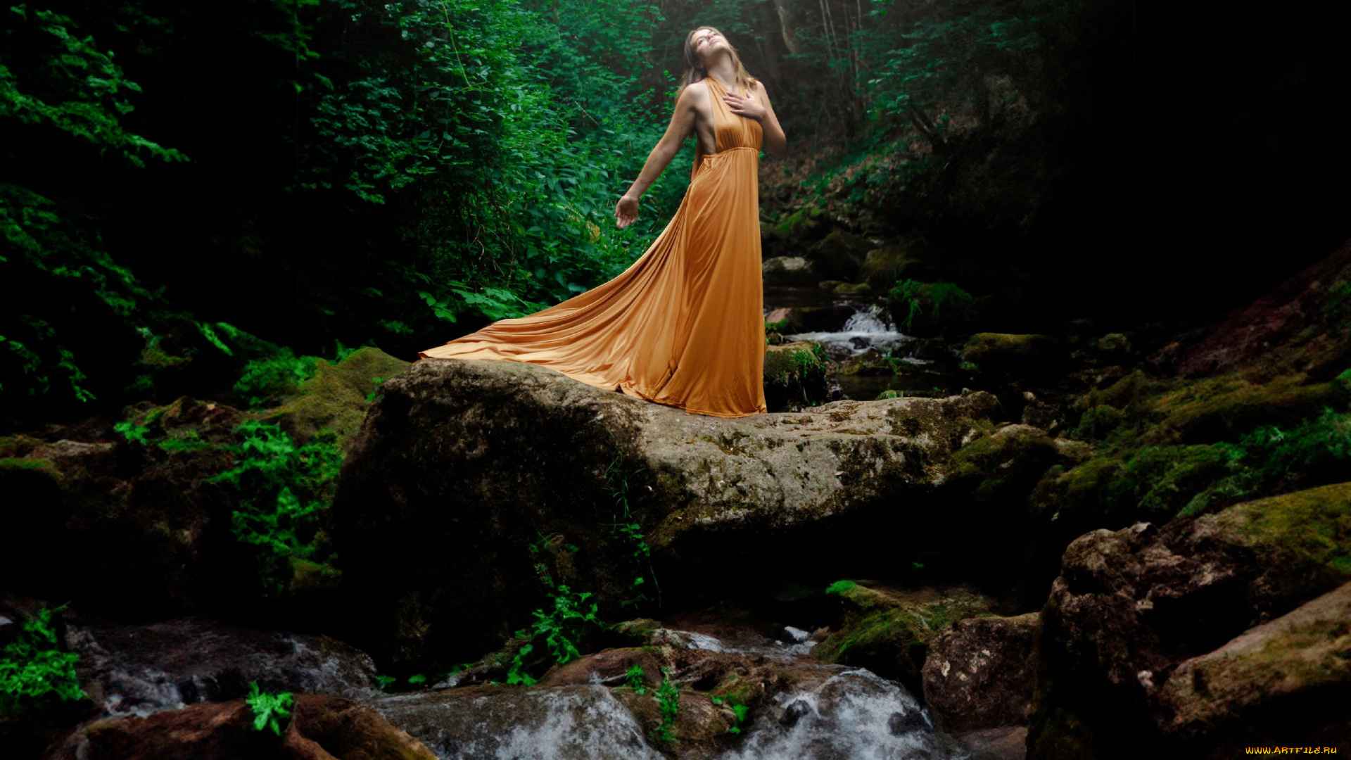 девушки, -, блондинки, , светловолосые, лес, блондинка, платье