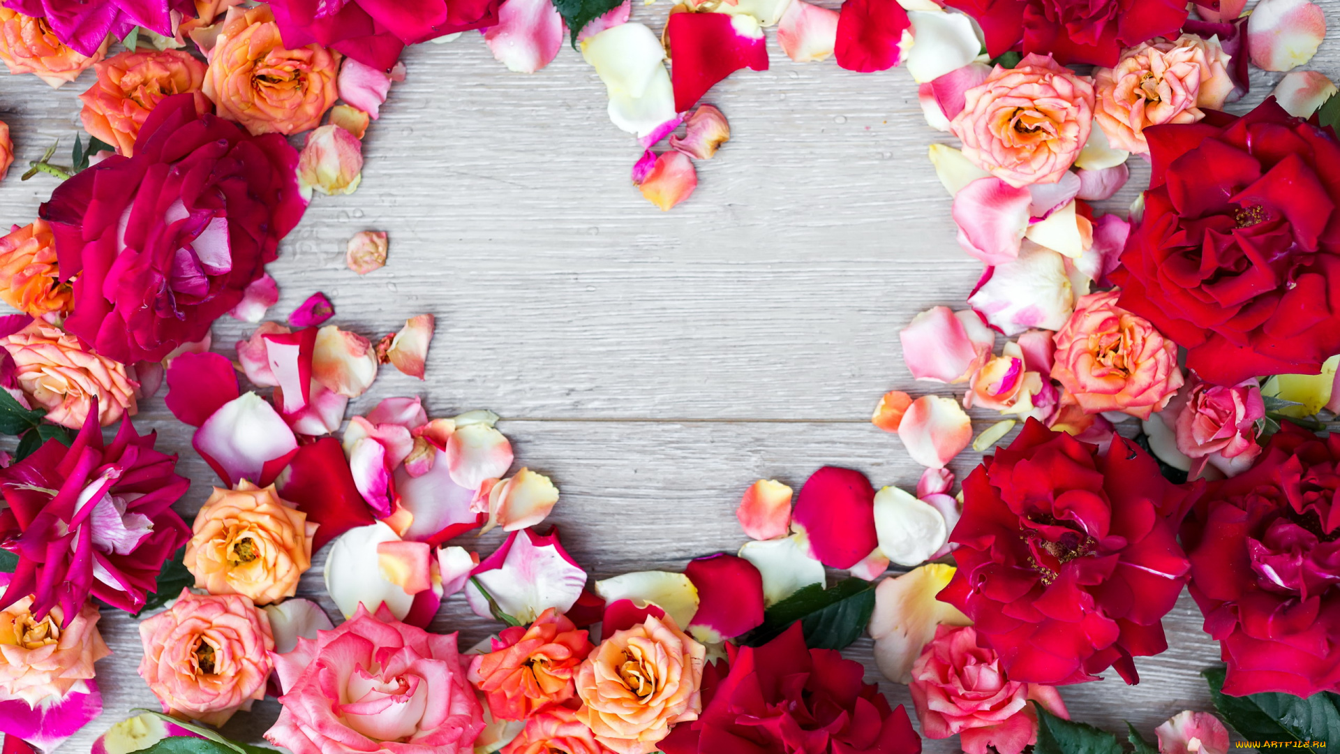 девушки, -, брюнетки, , шатенки, брюнетка, мимоза