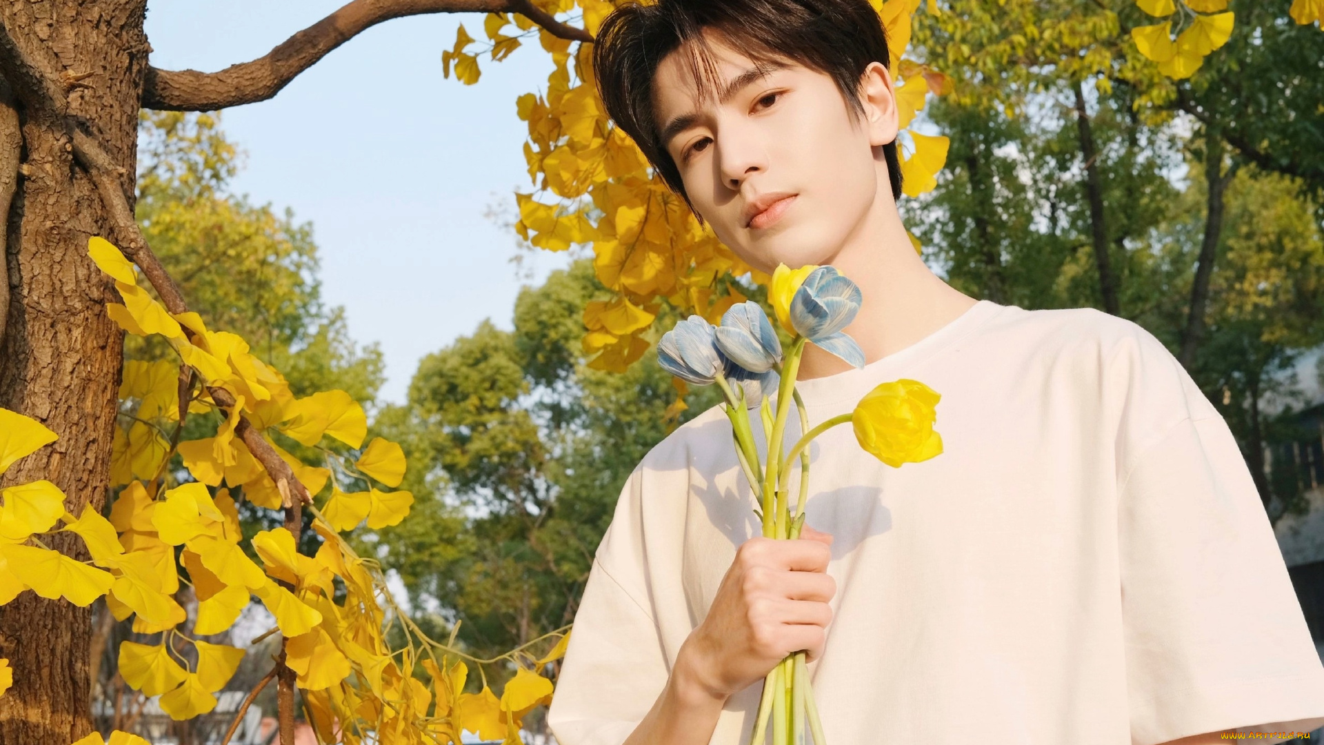 мужчины, zhang, ling, he, чжан, лин, хэ