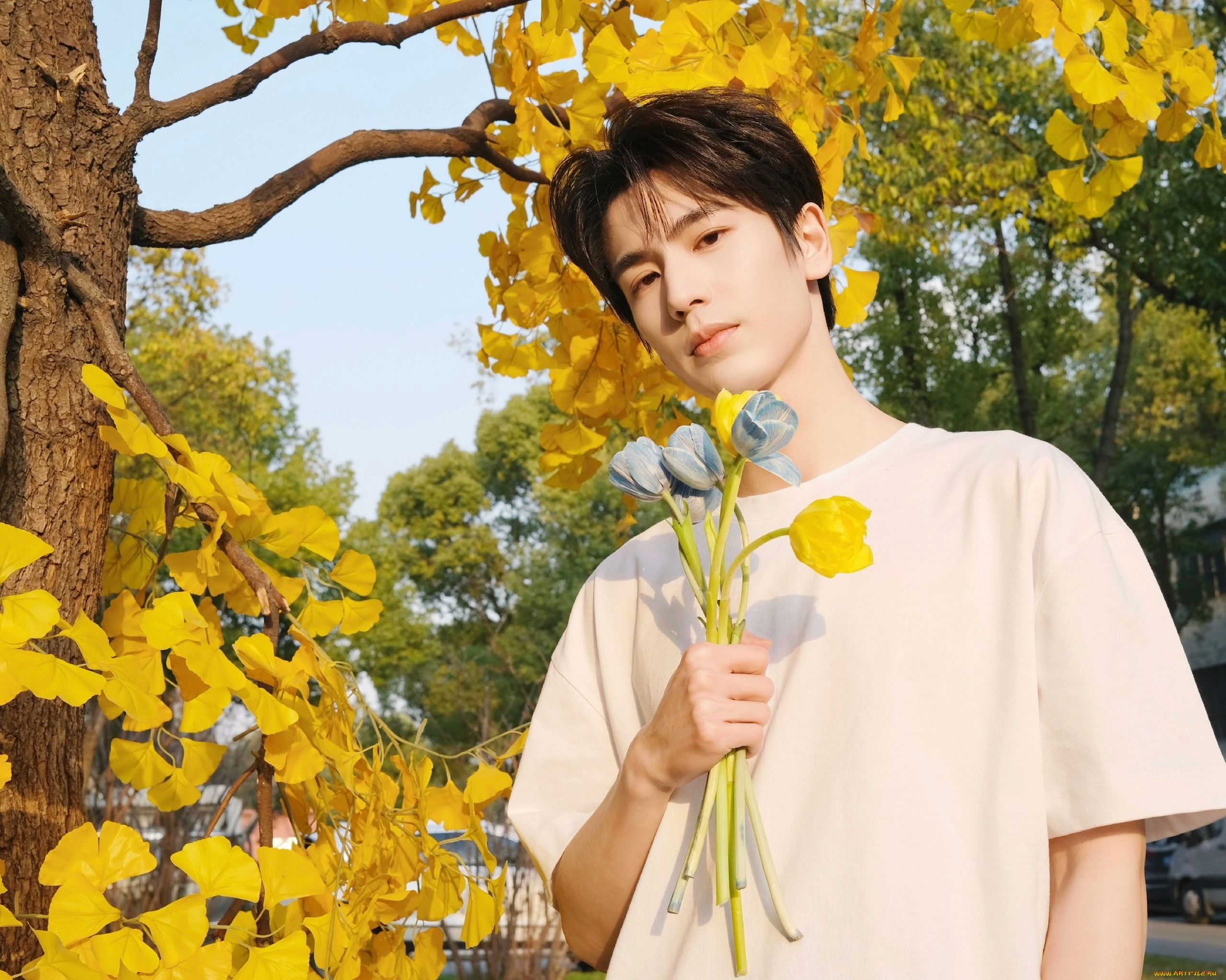 мужчины, zhang, ling, he, чжан, лин, хэ