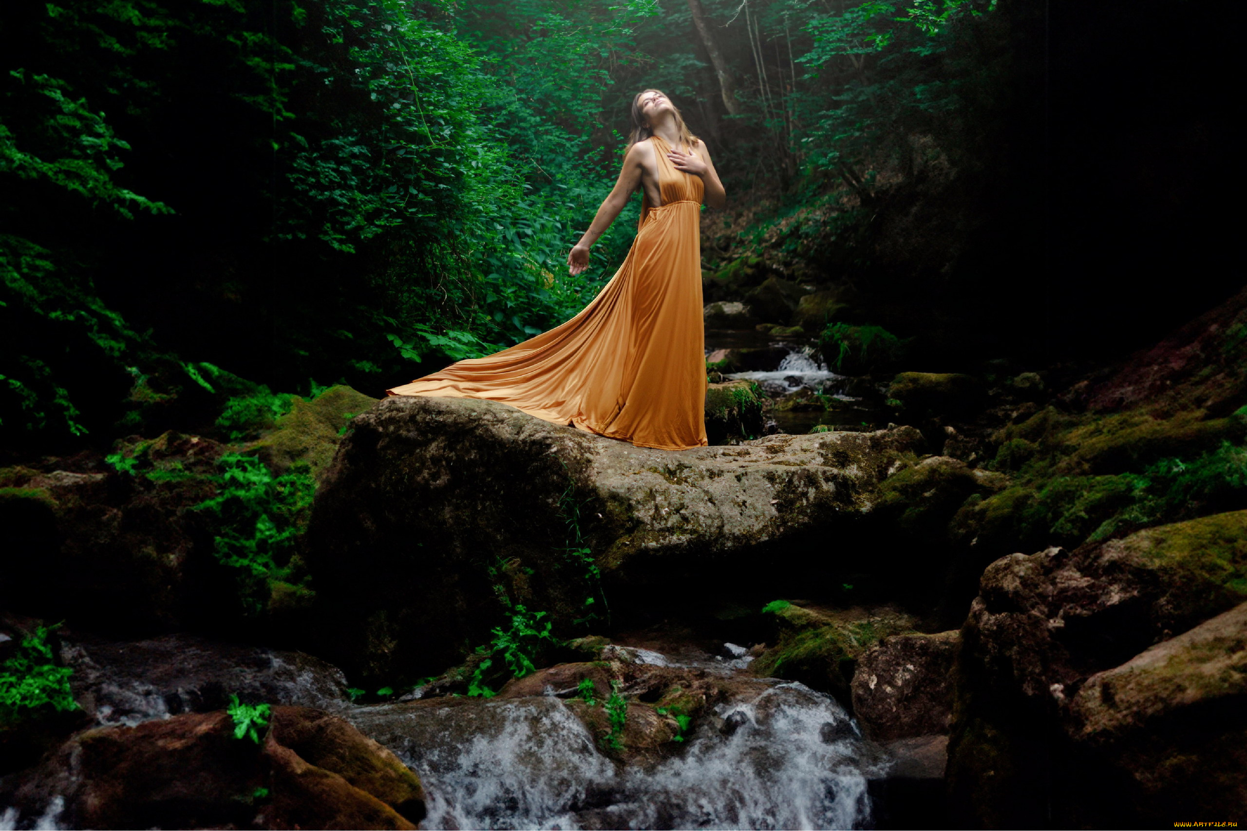 девушки, -, блондинки, , светловолосые, лес, блондинка, платье