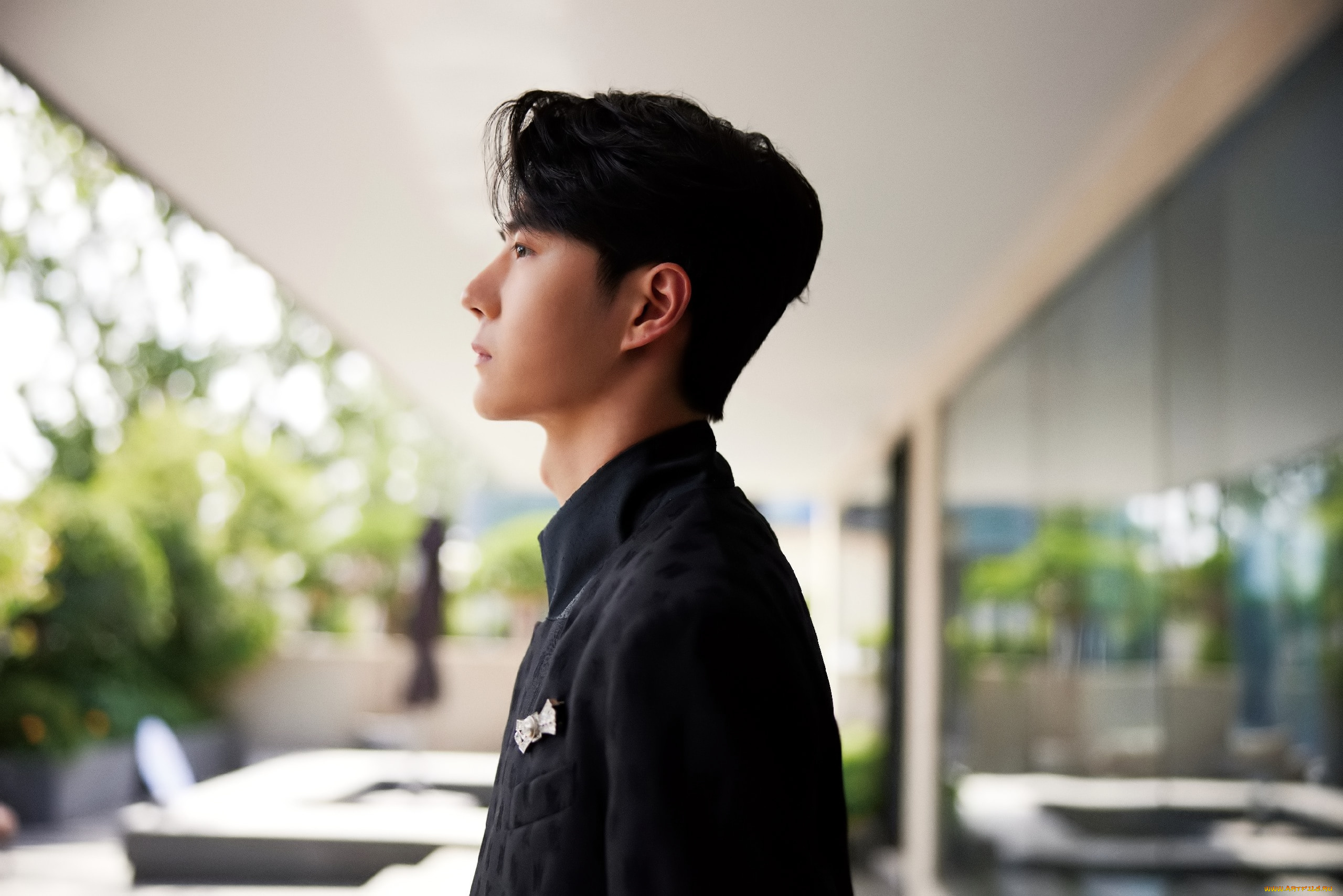 мужчины, wang, yi, bo, актер, профиль