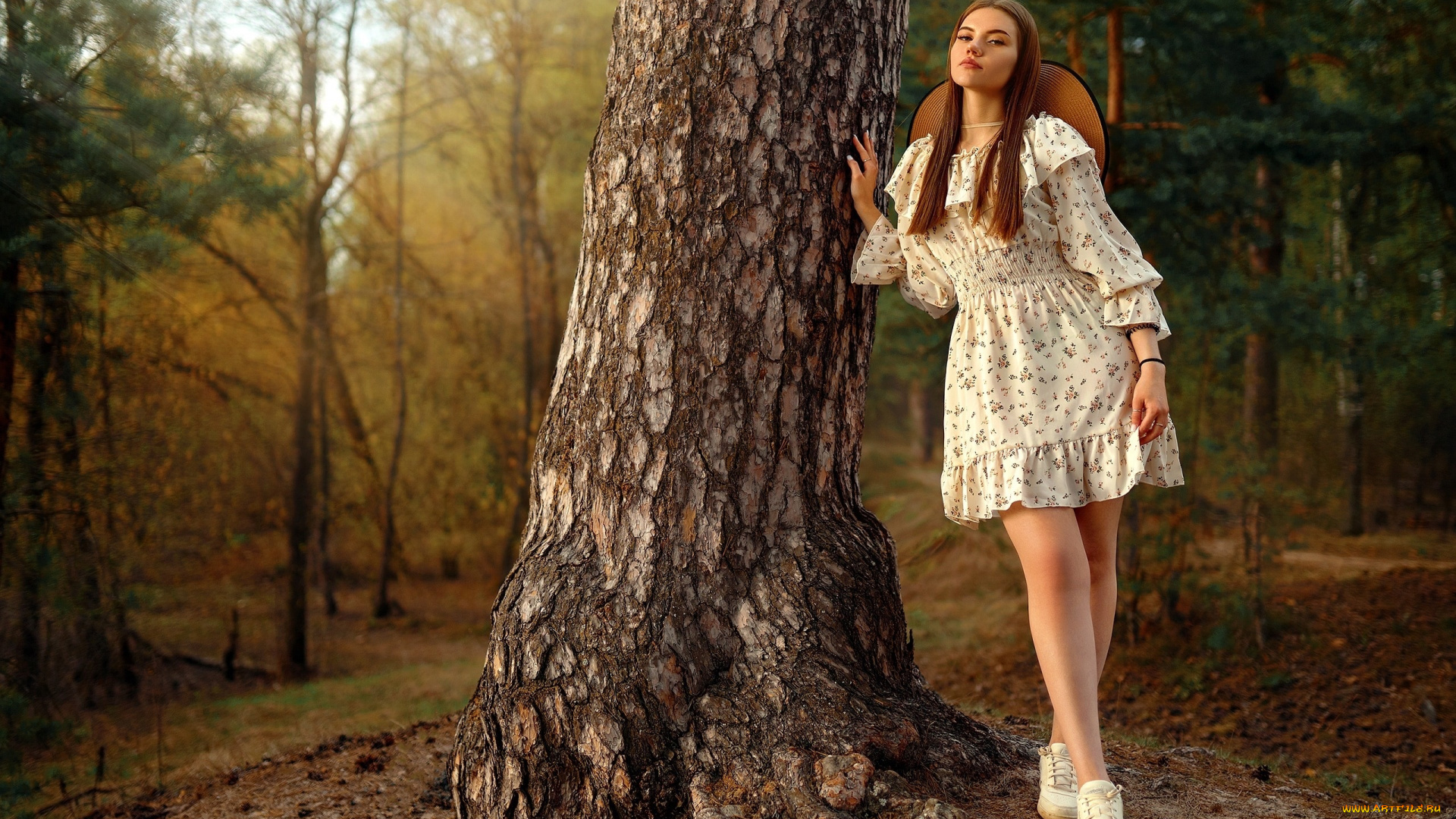 девушки, -, брюнетки, , шатенки, девушка, позирует