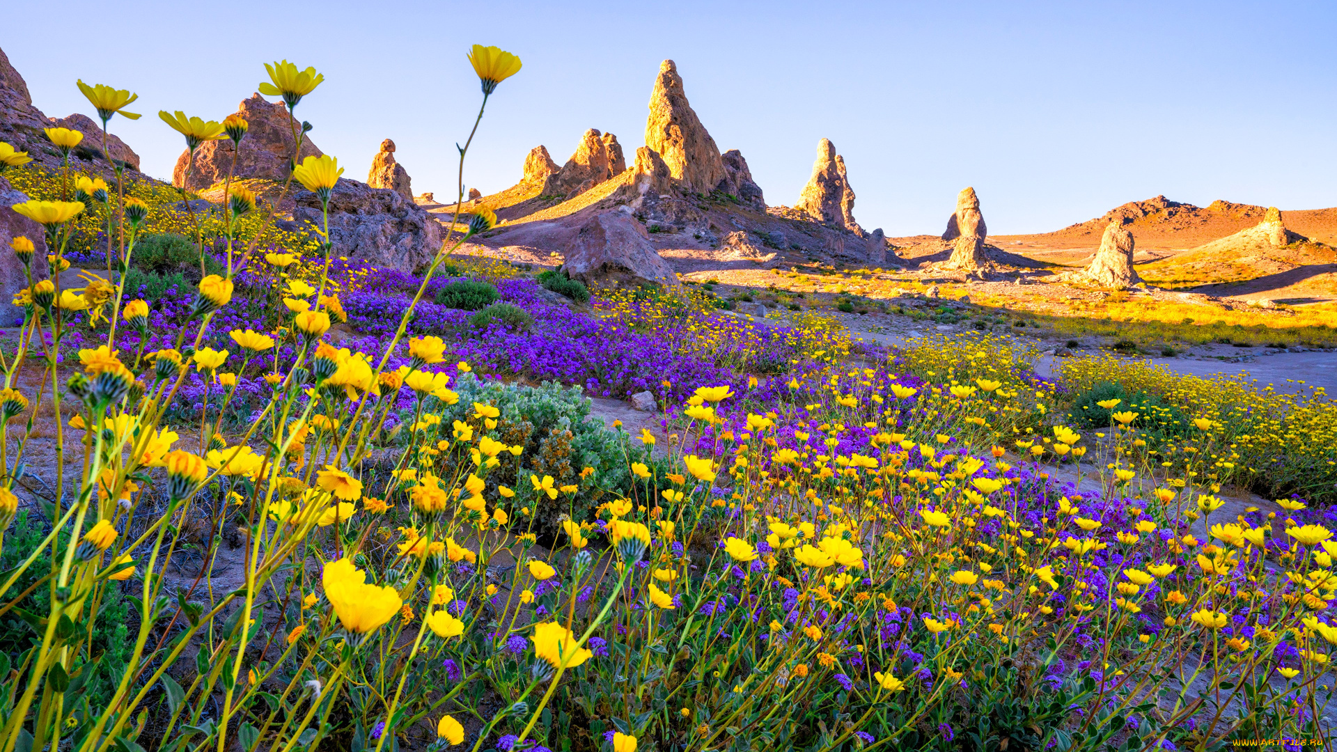 природа, луга, скалы, цветы