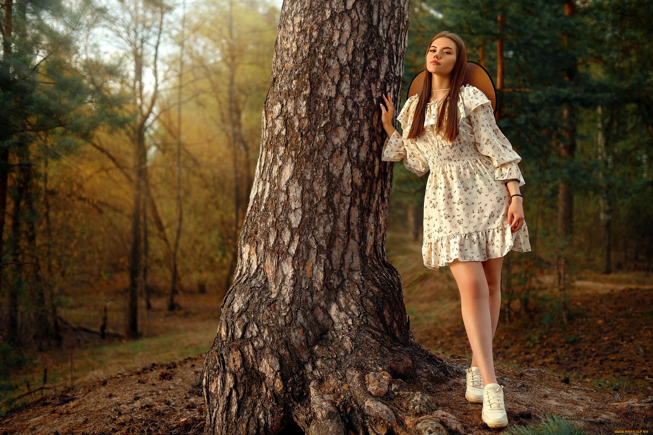 девушки, -, брюнетки, , шатенки, девушка, позирует