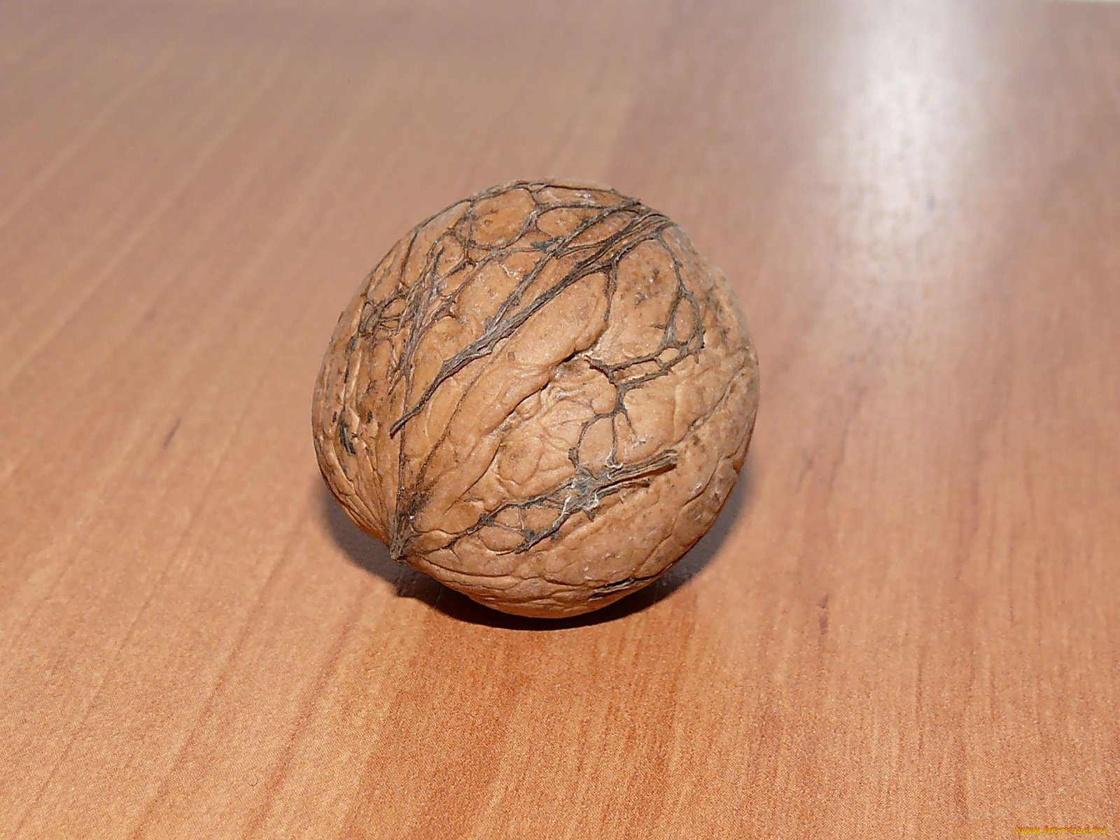 еда, орехи, каштаны