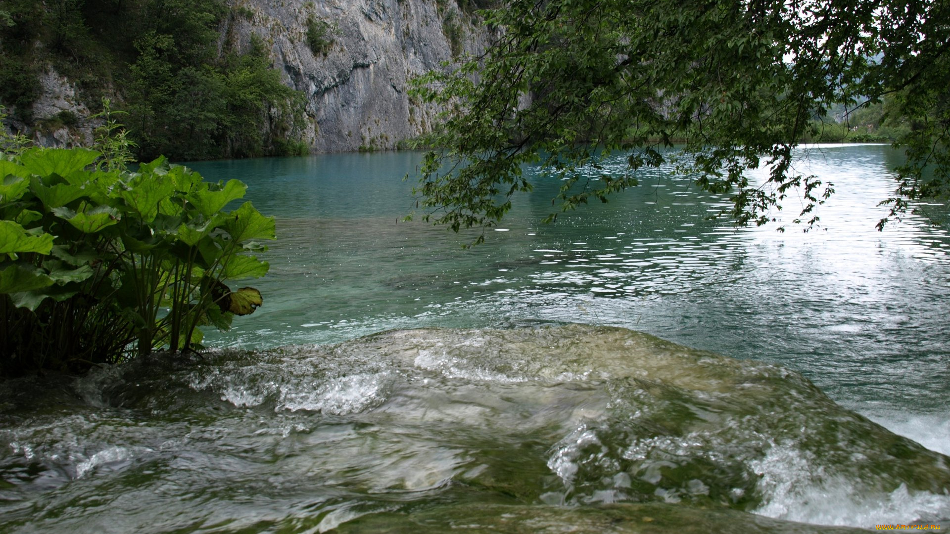 природа, реки, озера