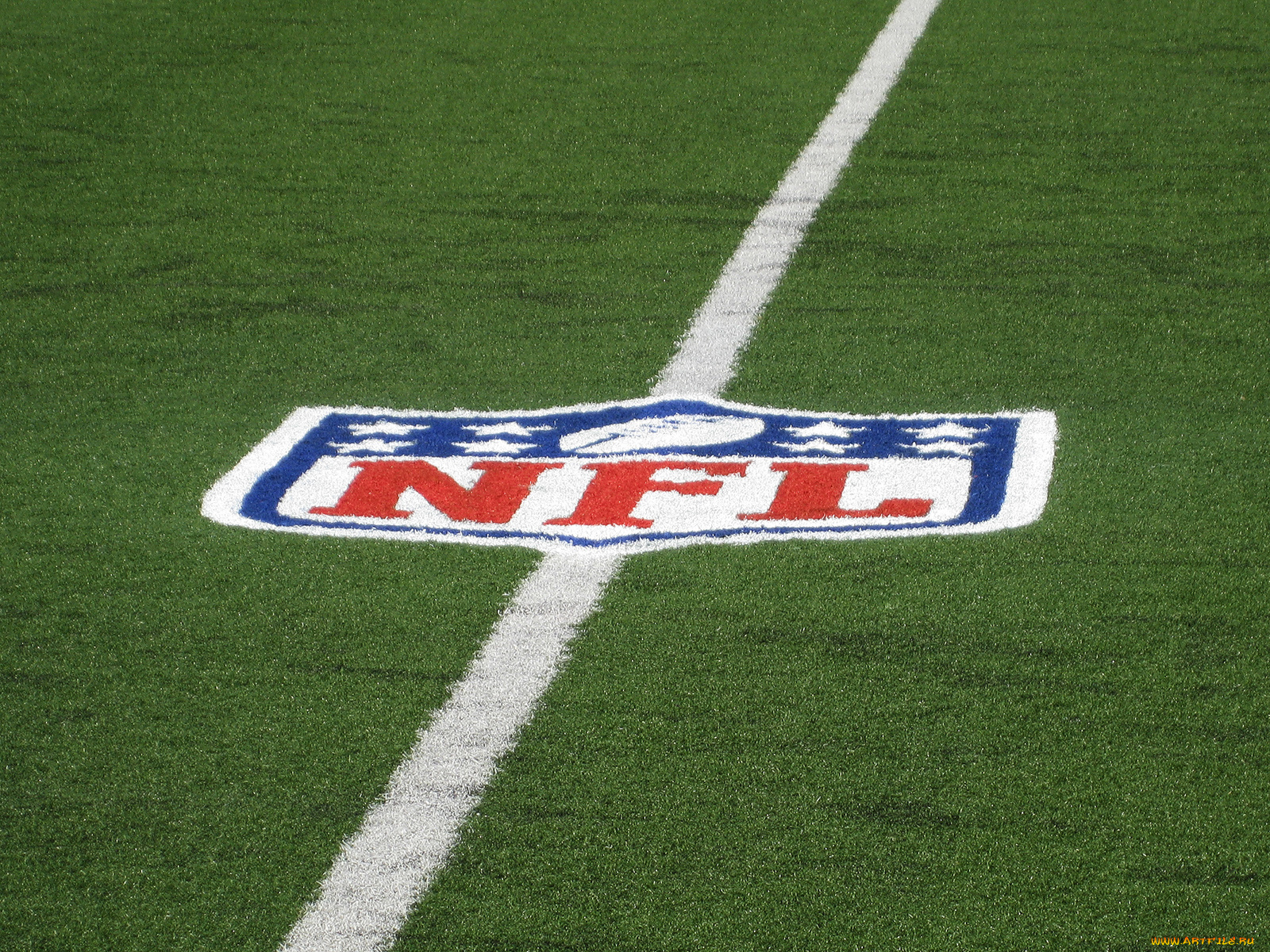 спорт, стадионы