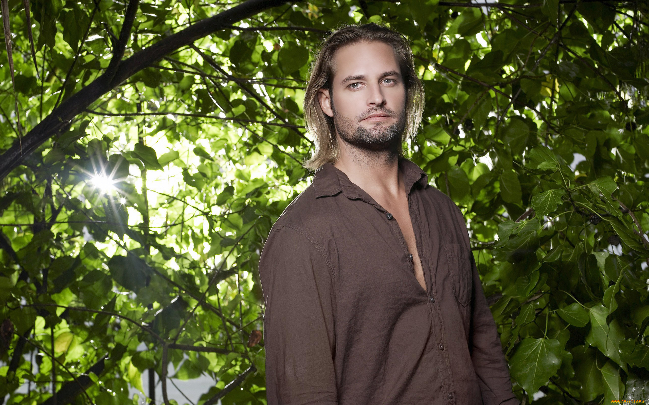 josh, holloway, мужчины