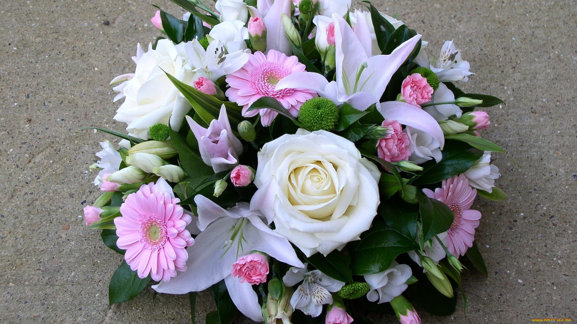цветы, букеты, композиции