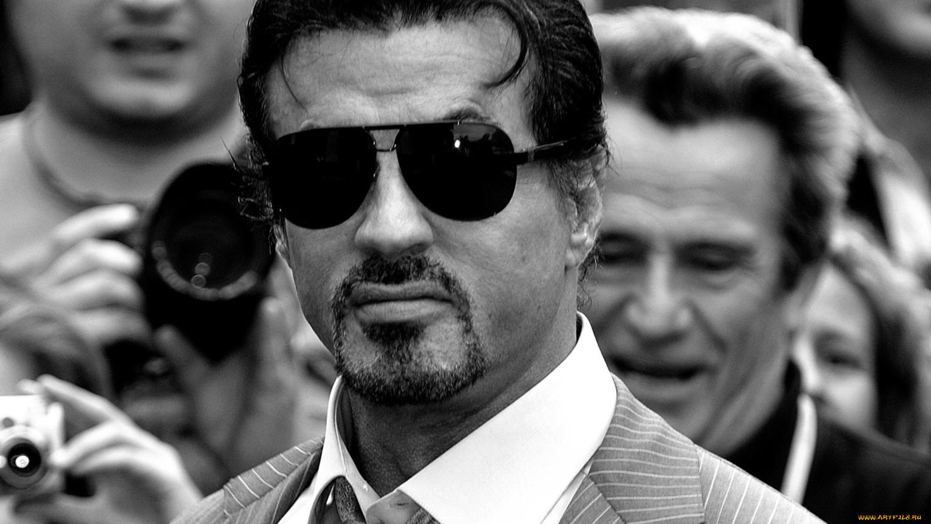мужчины, sylvester, stallone