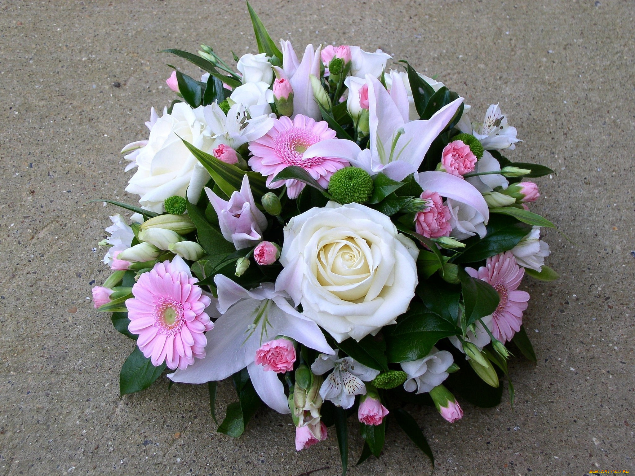 цветы, букеты, композиции