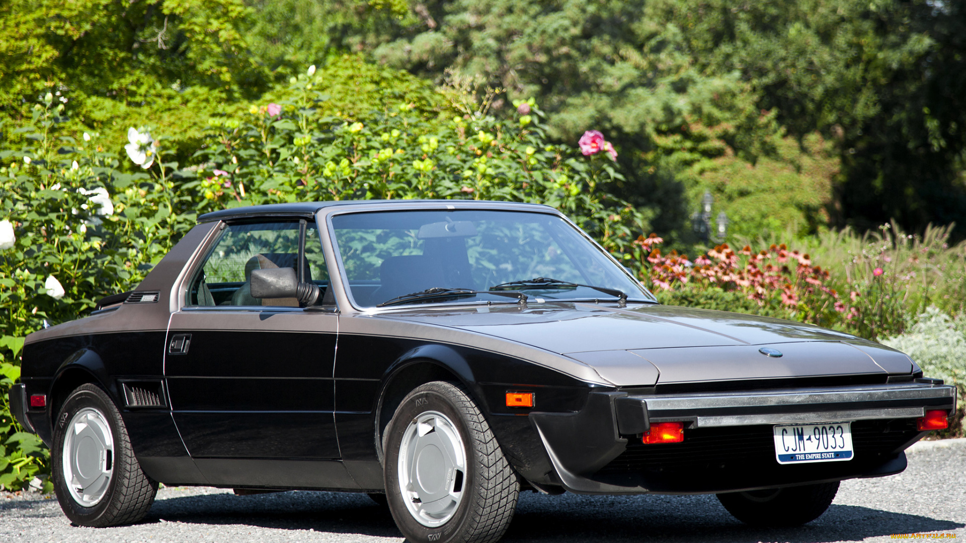 bertone, x1, us, spec, автомобили, fiat