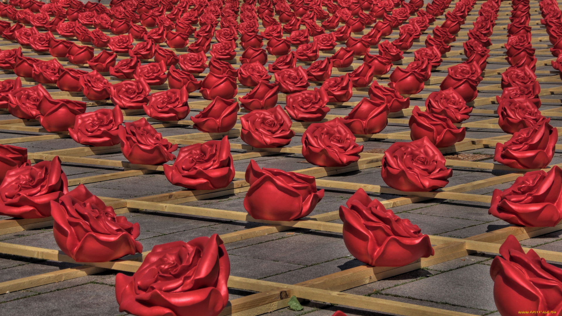 разное, другое, zweibrucken, germany, розы