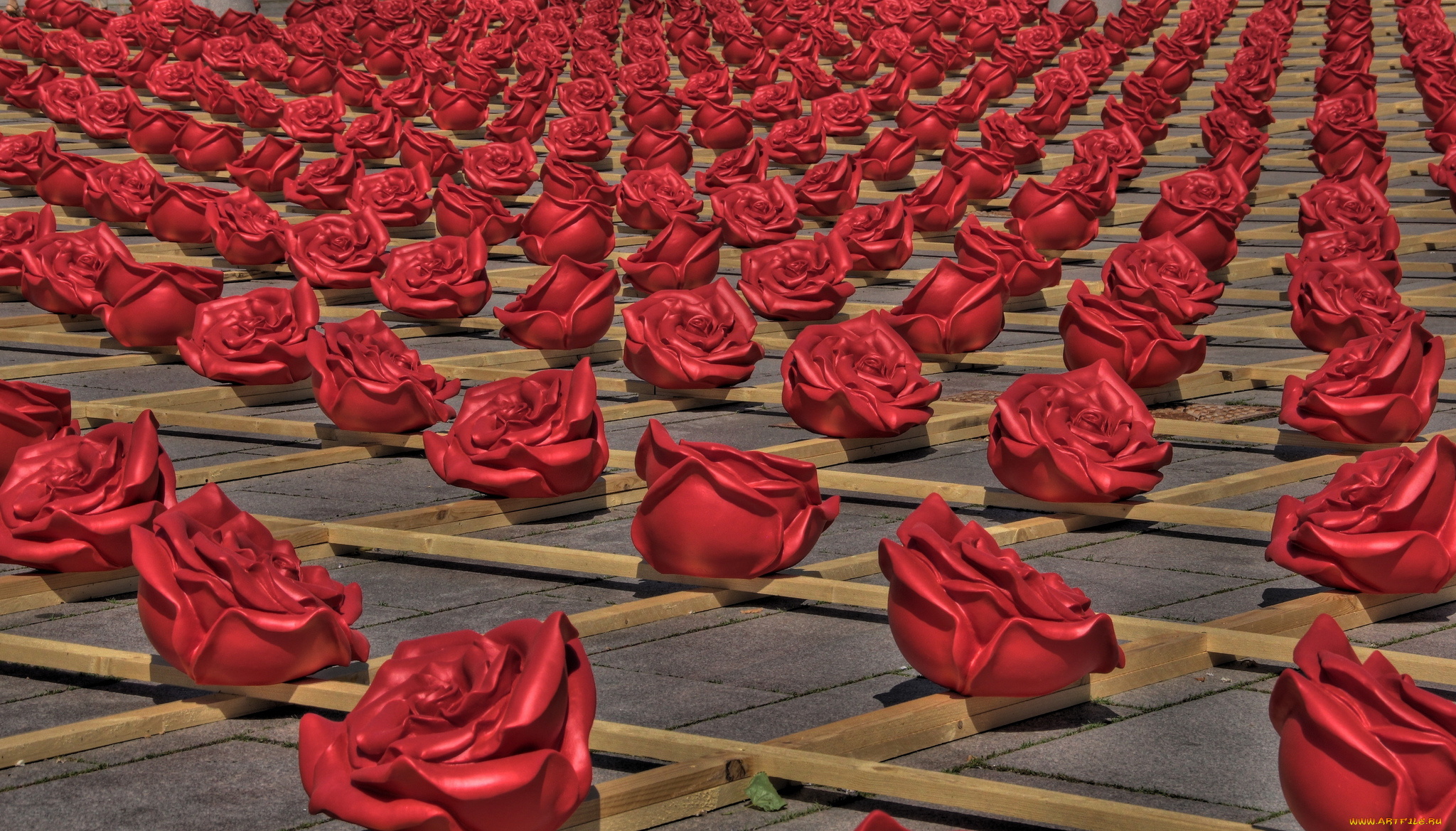 разное, другое, zweibrucken, germany, розы