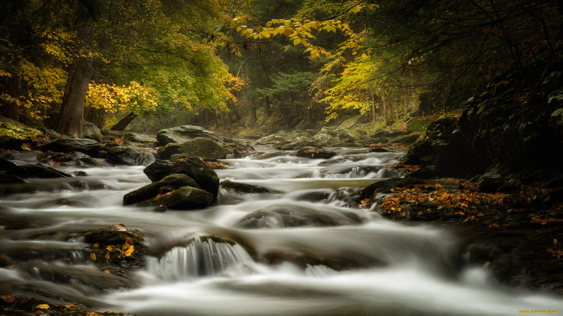 bash, bish, brook, massachusetts, природа, реки, озера, камни, осень, лес, река, ручей