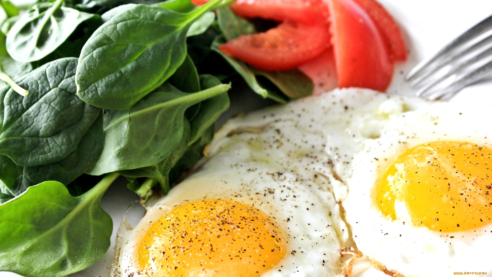 еда, Яичные, блюда, яичница, базилик, специи, помидоры