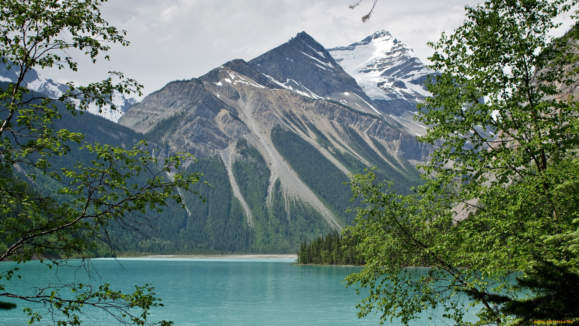 природа, горы, ветки, вершина, вода