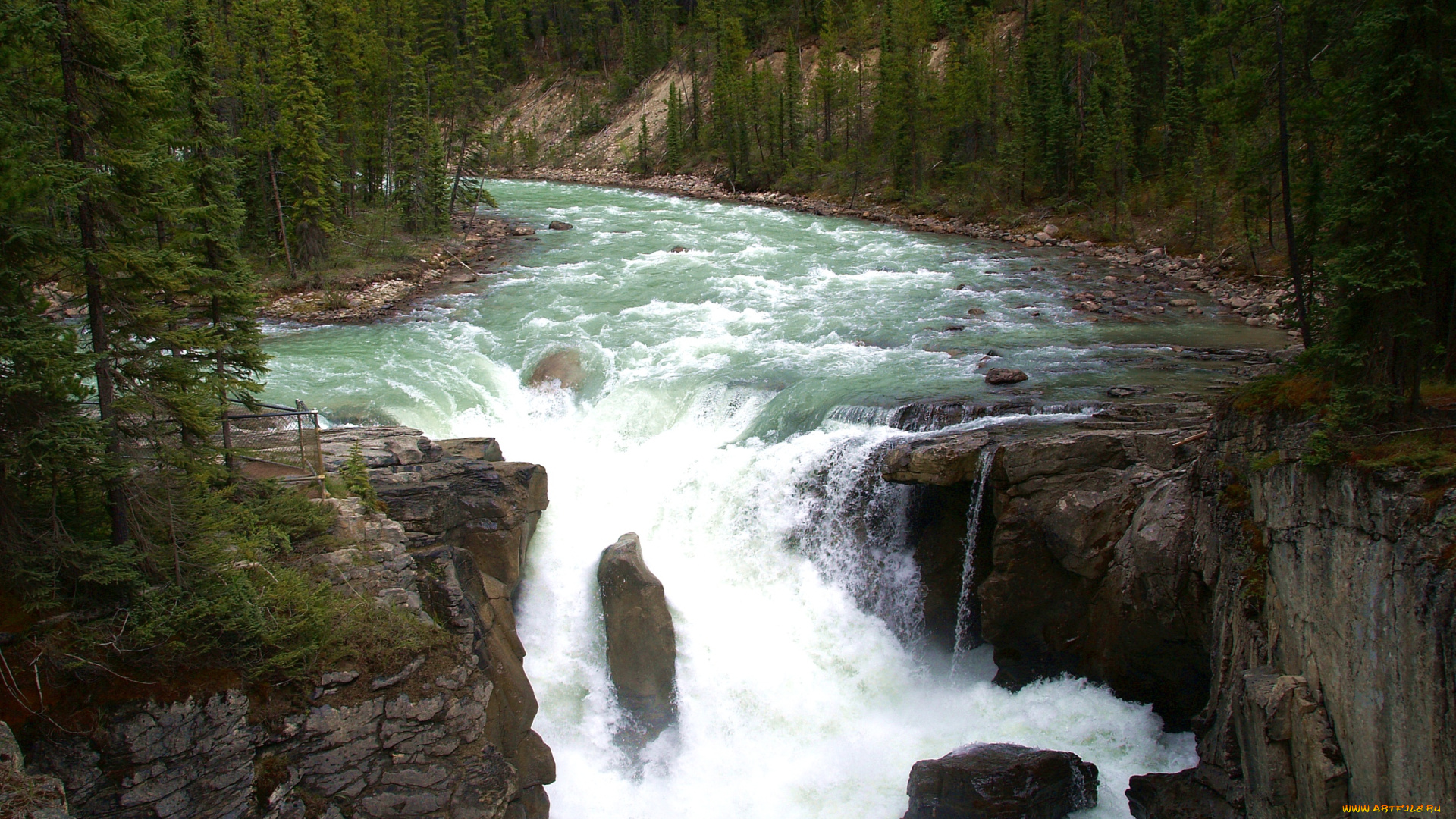 природа, реки, озера, вода, поток, берега, лес