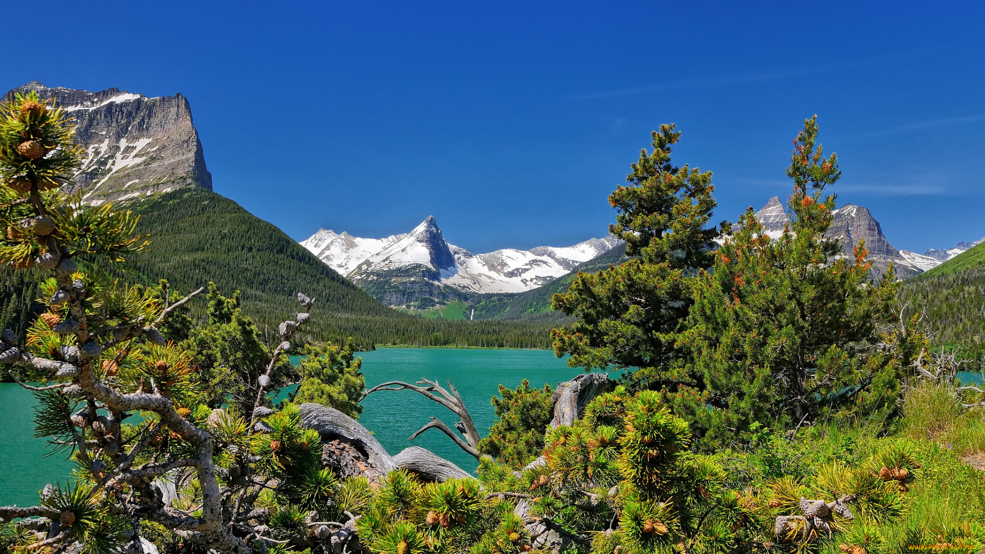 saint, mary, lake, glacier, national, park, montana, природа, реки, озера, озеро, святой, марии, нациоанльный, парк, глейсер, монтана