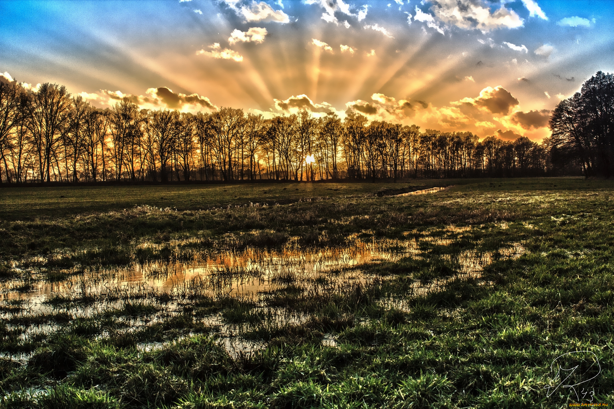 природа, восходы, закаты, восход, деревья