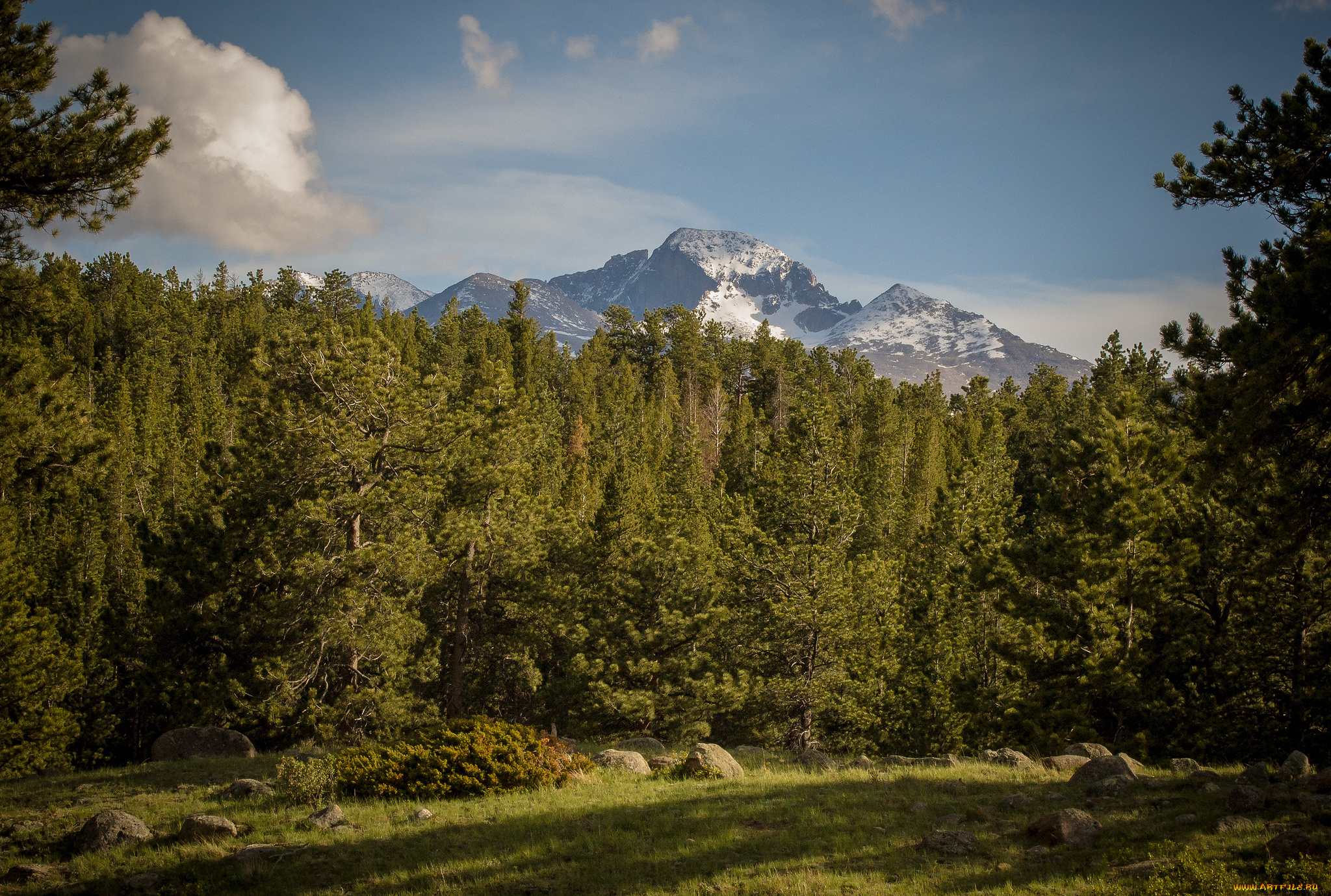 rocky, mountain, national, park, colorado, природа, горы, роки-маунтин, колорадо, лес, поляна, деревья